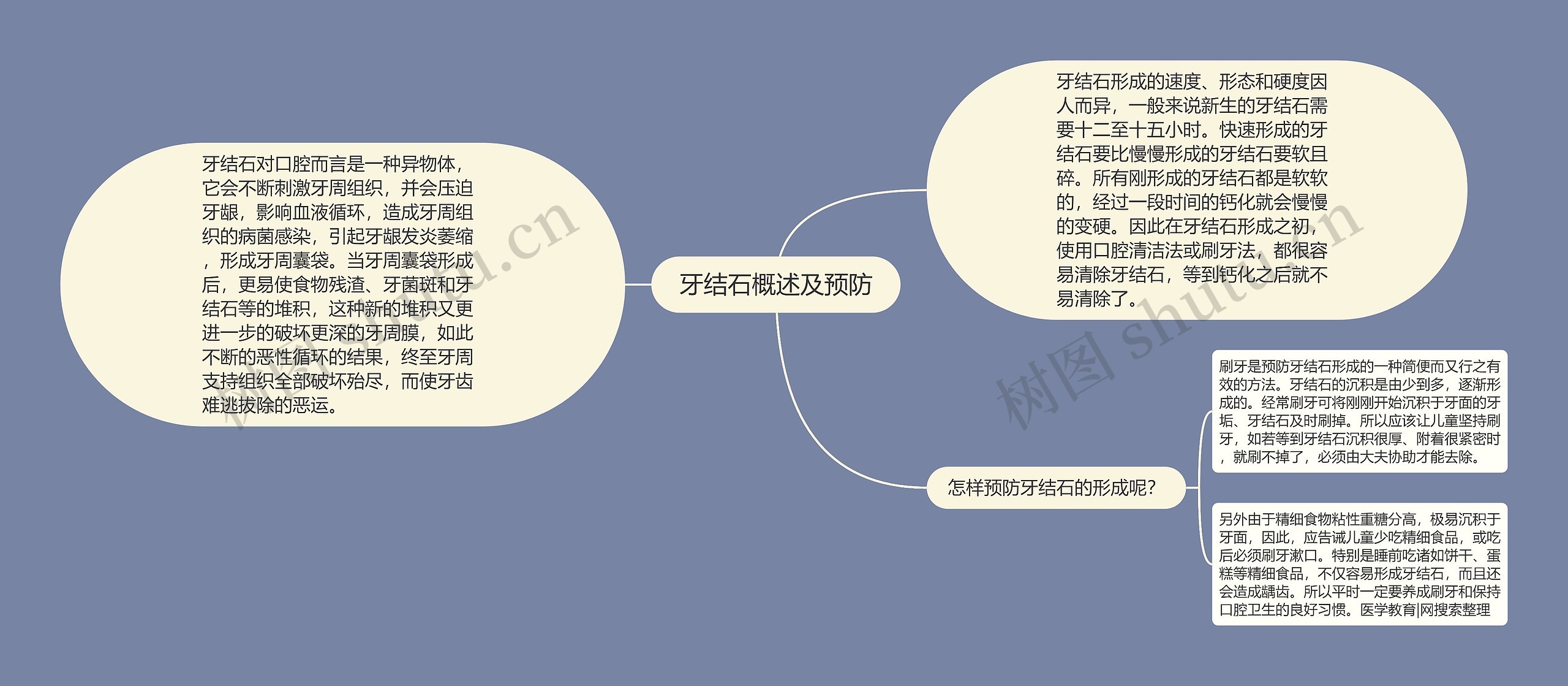 牙结石概述及预防