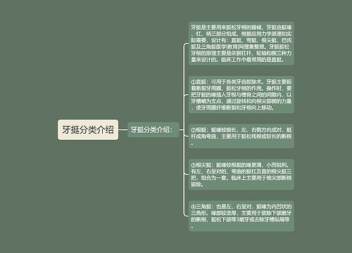 牙挺分类介绍