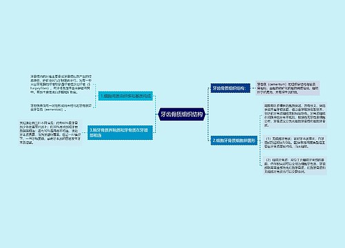 牙齿骨质组织结构