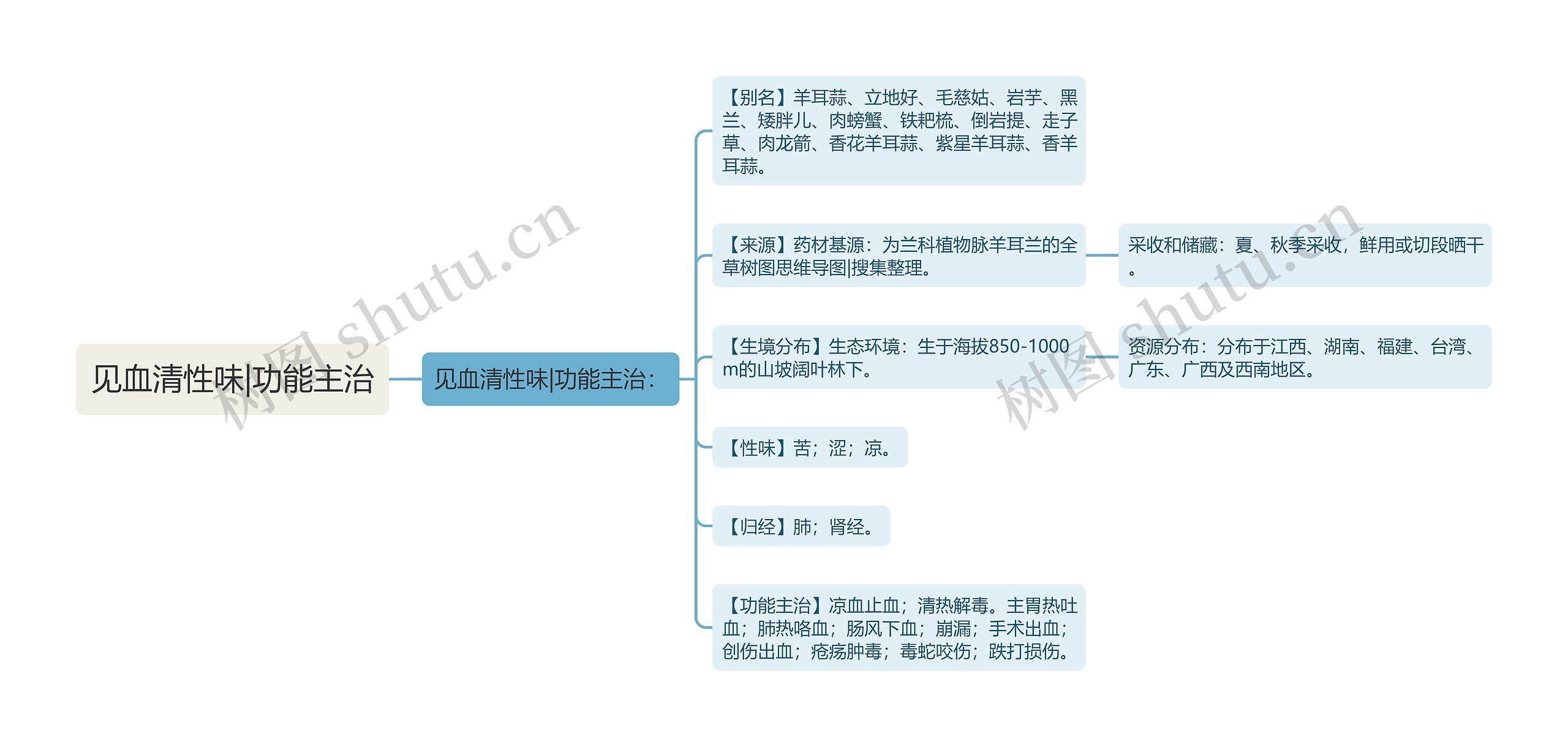 见血清性味|功能主治思维导图