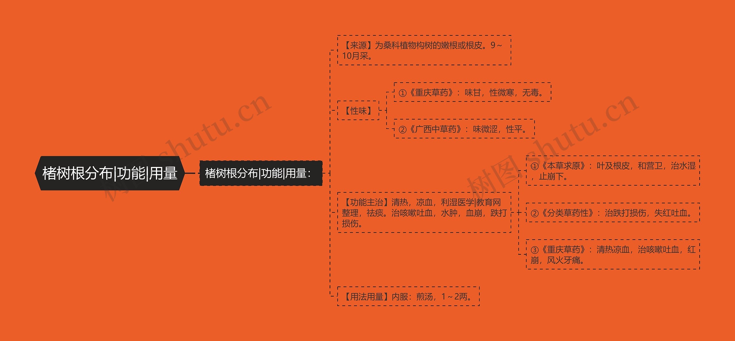 楮树根分布|功能|用量 楮树根分布|功能|用量