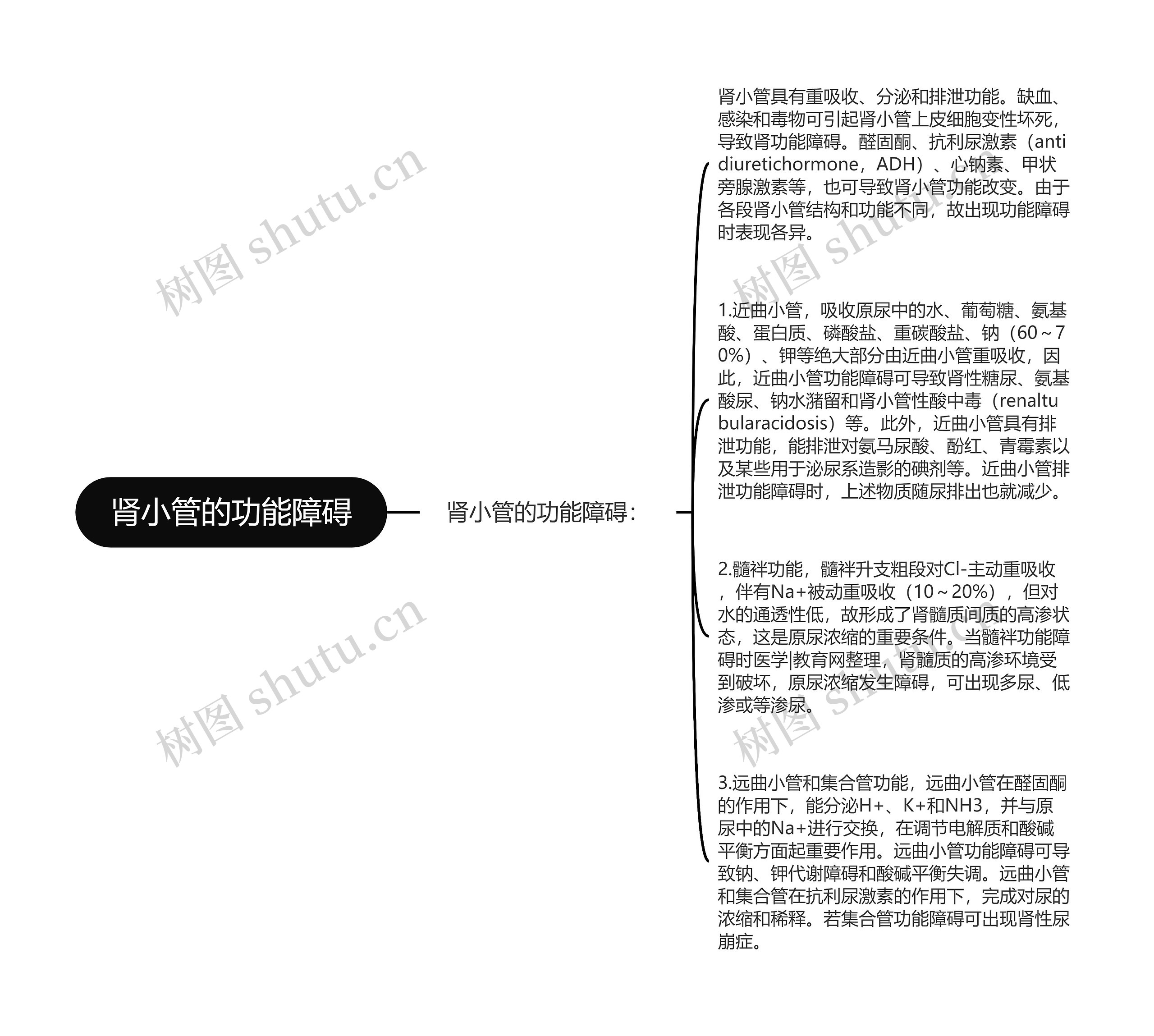 肾小管的功能障碍思维导图