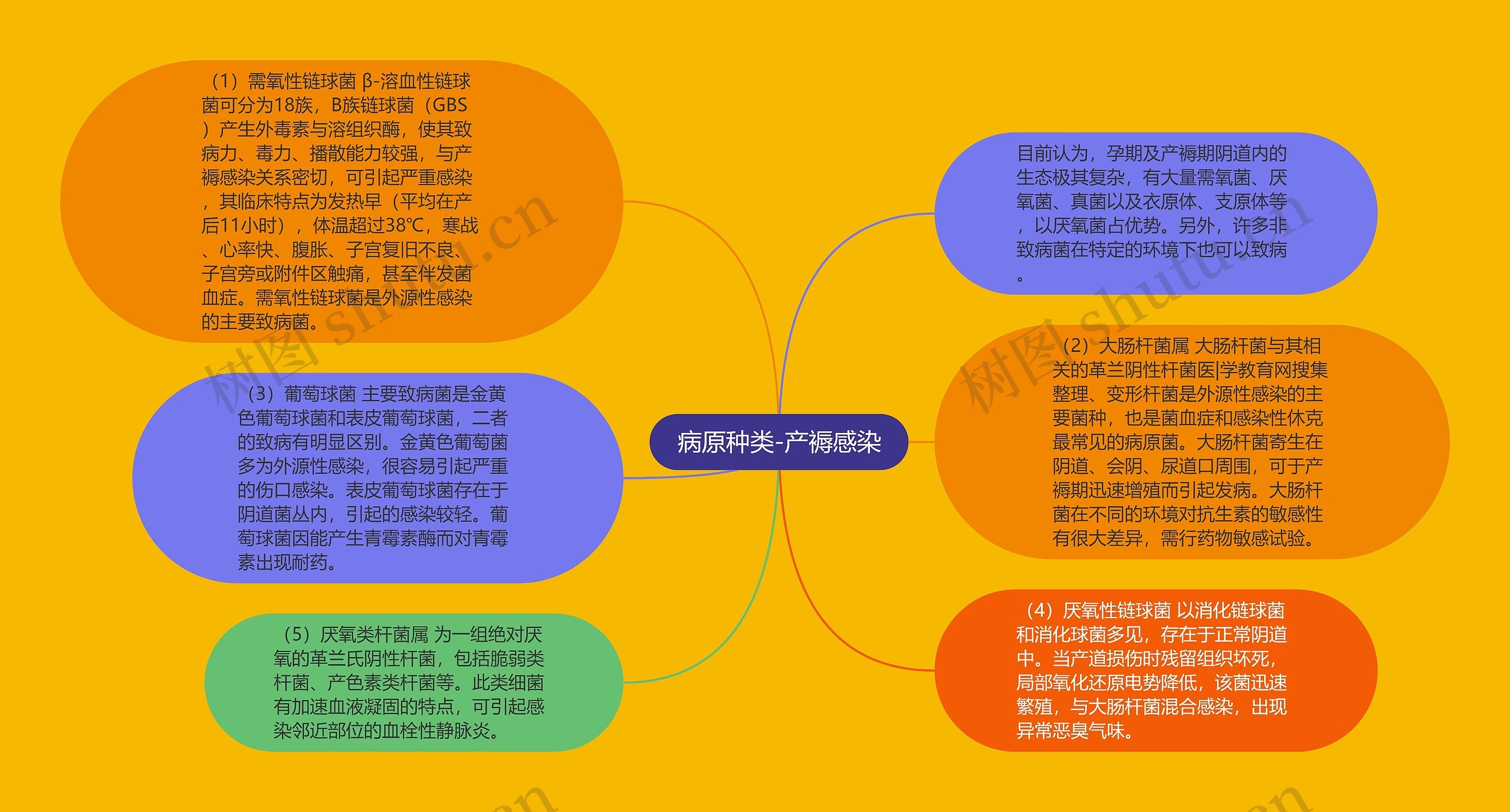 病原种类-产褥感染思维导图