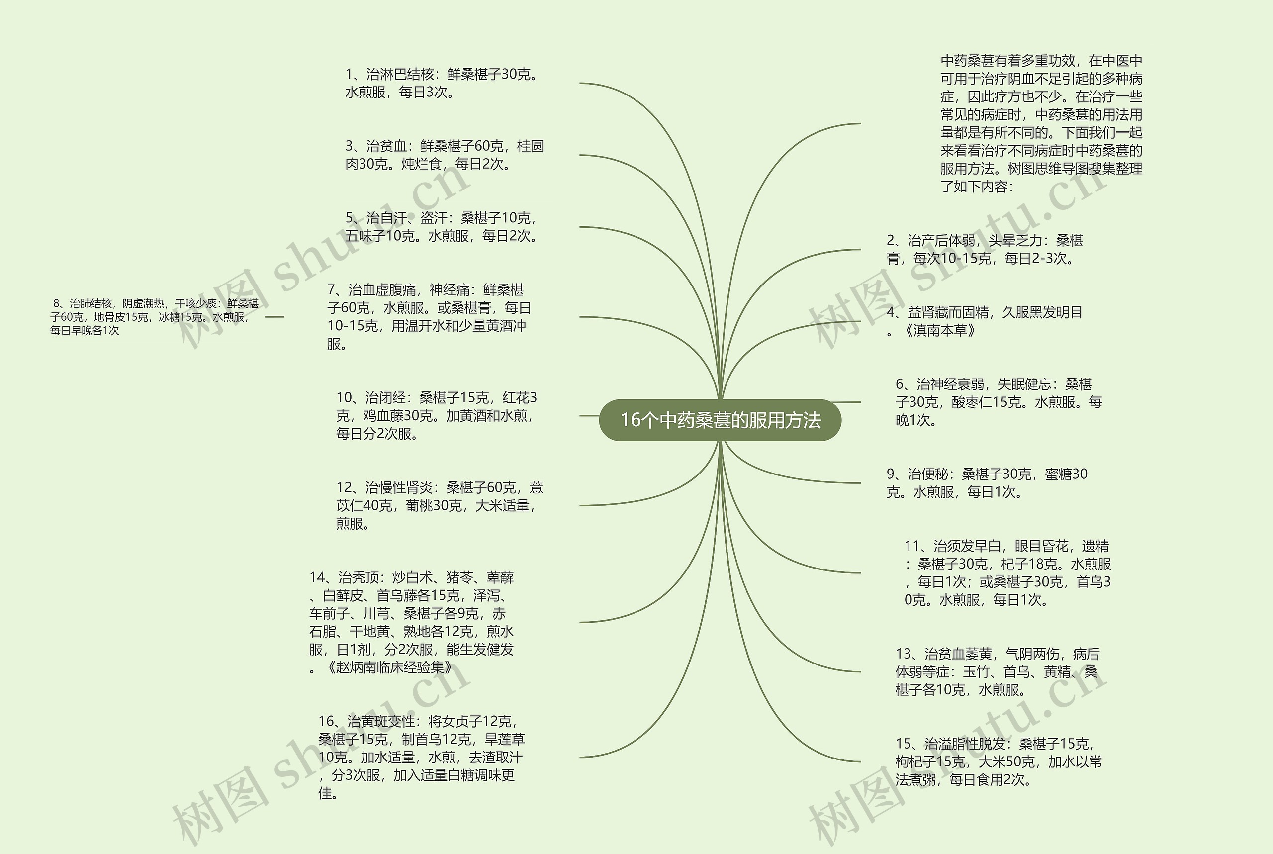 16个中药桑葚的服用方法思维导图