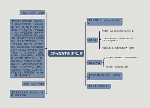 凹裂毛麝香来源|性味|分布