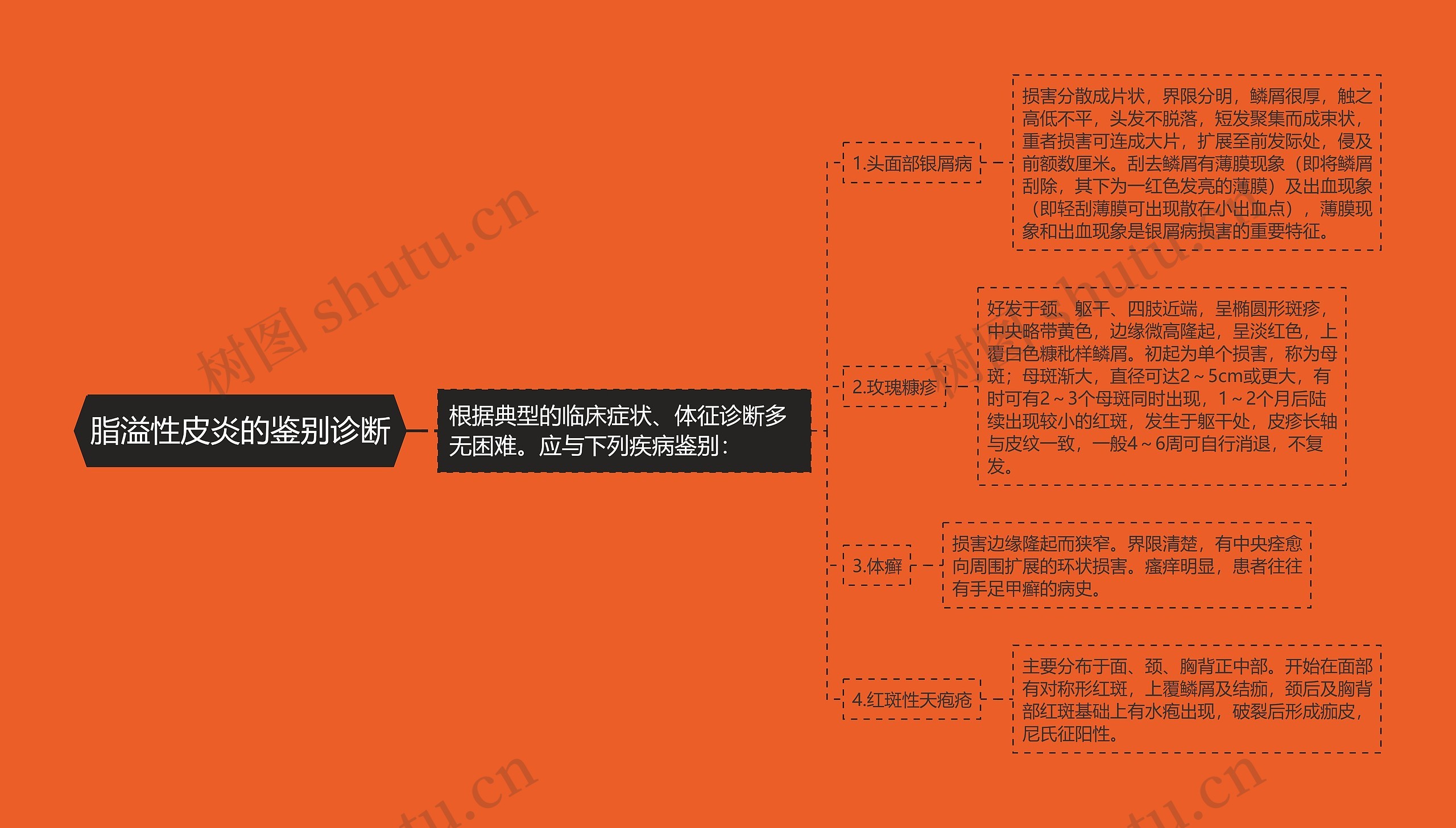 脂溢性皮炎的鉴别诊断思维导图