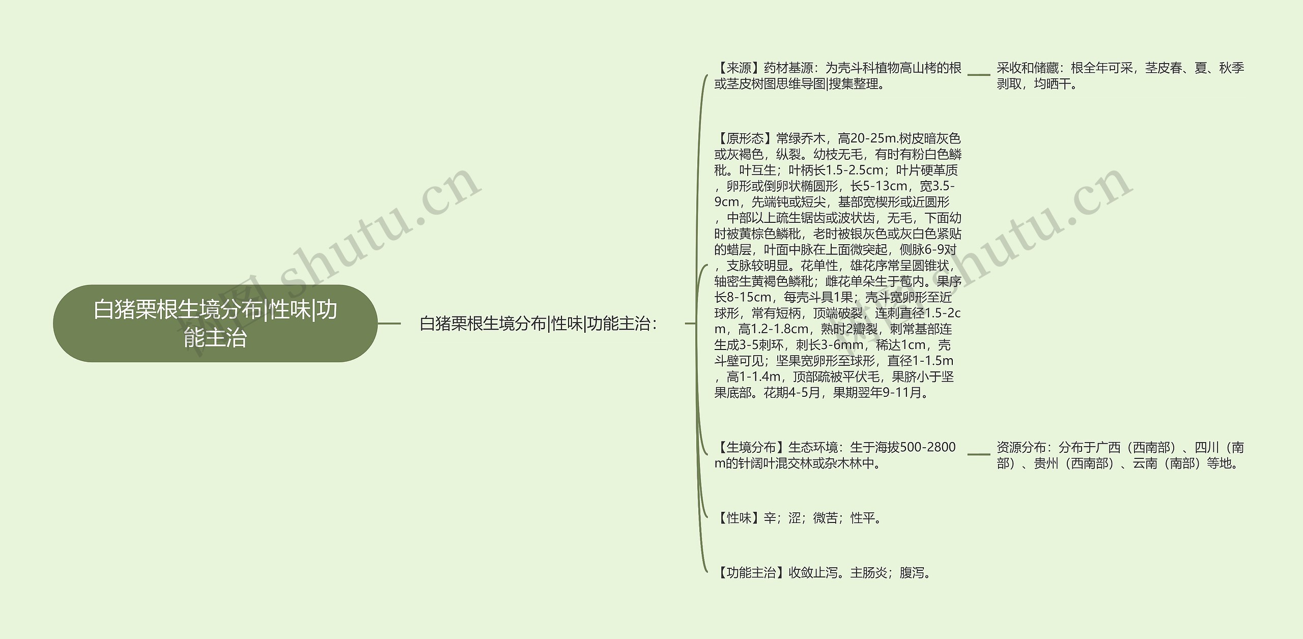 白猪栗根生境分布|性味|功能主治 白猪栗根生境分布|性味|功能主治