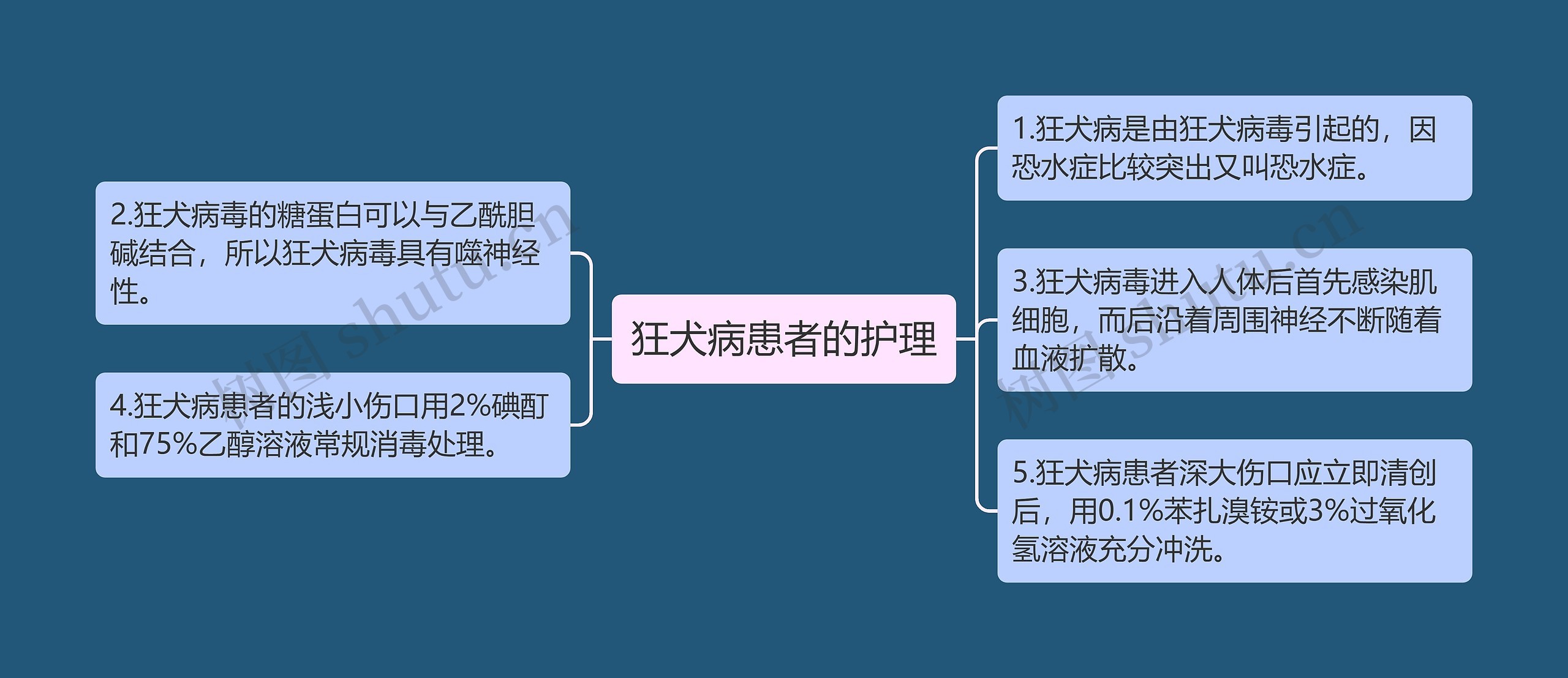 狂犬病患者的护理思维导图