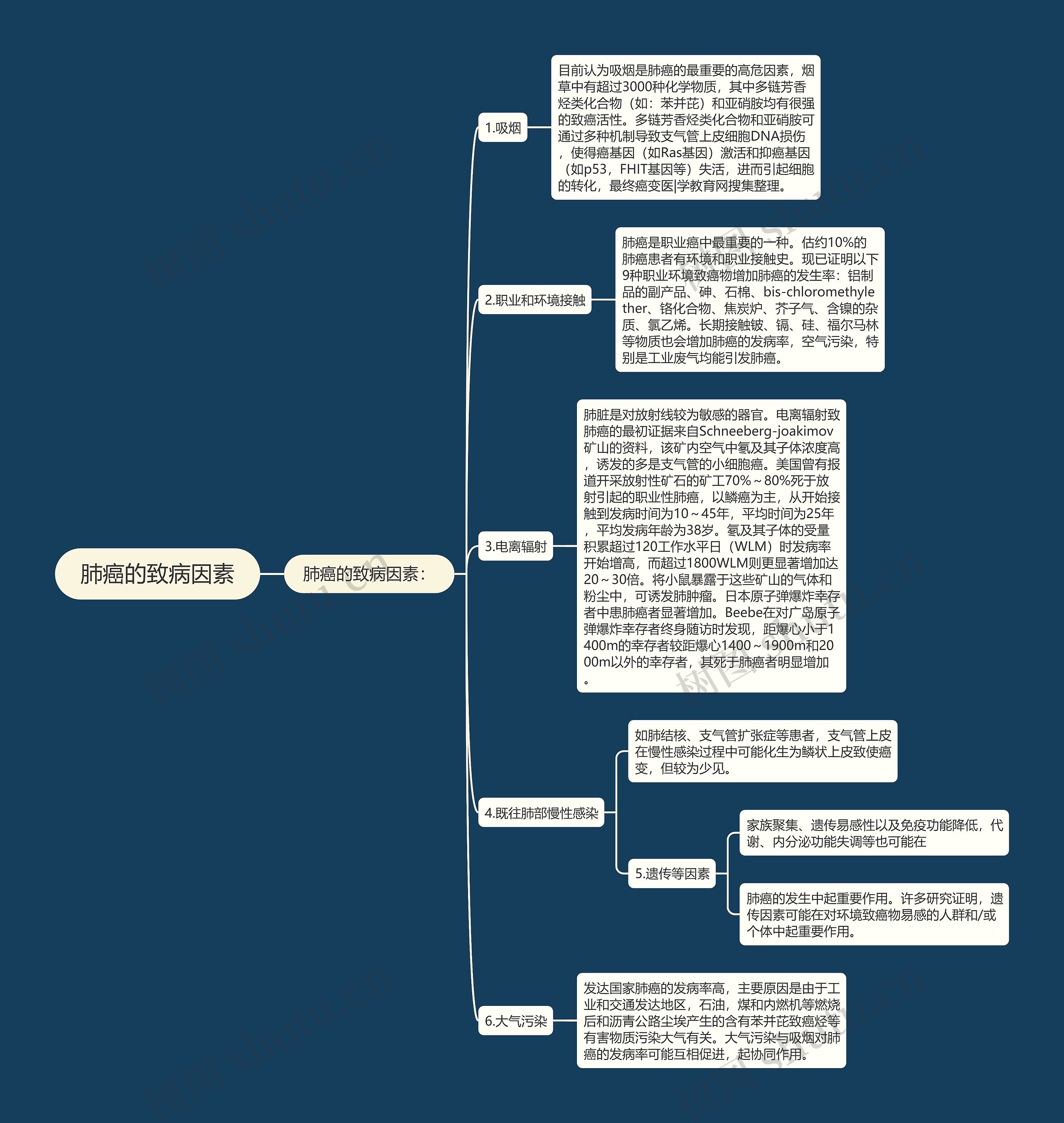 肺癌的致病因素思维导图