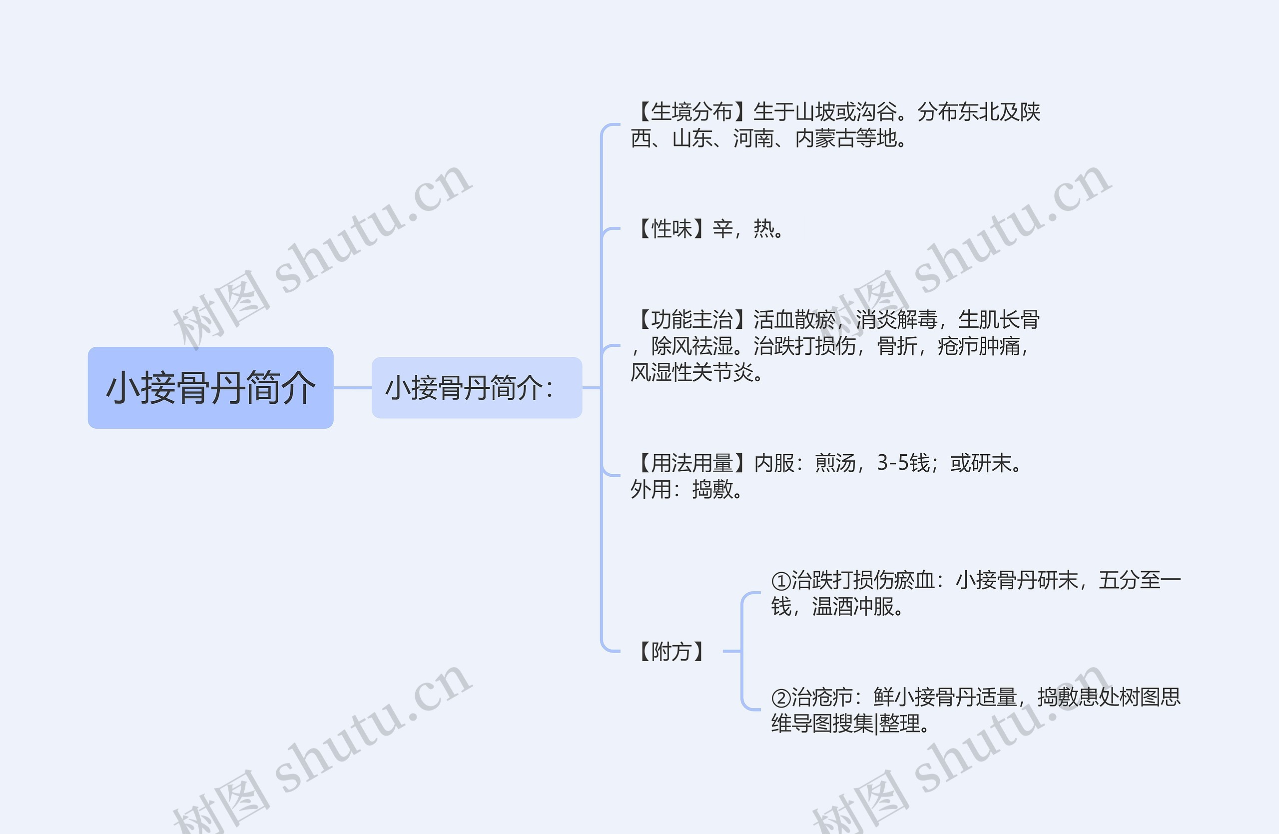 小接骨丹简介思维导图