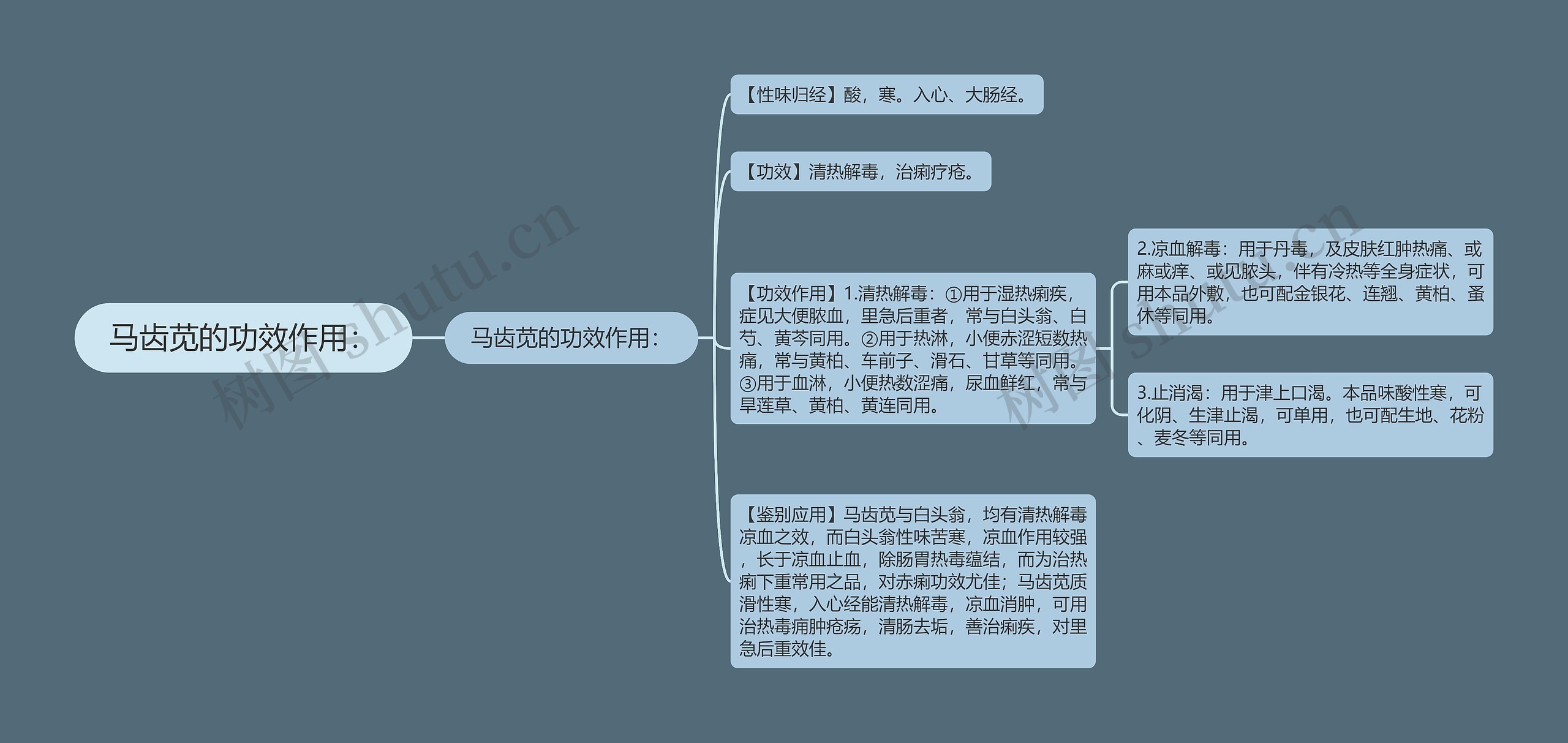 马齿苋的功效作用：思维导图