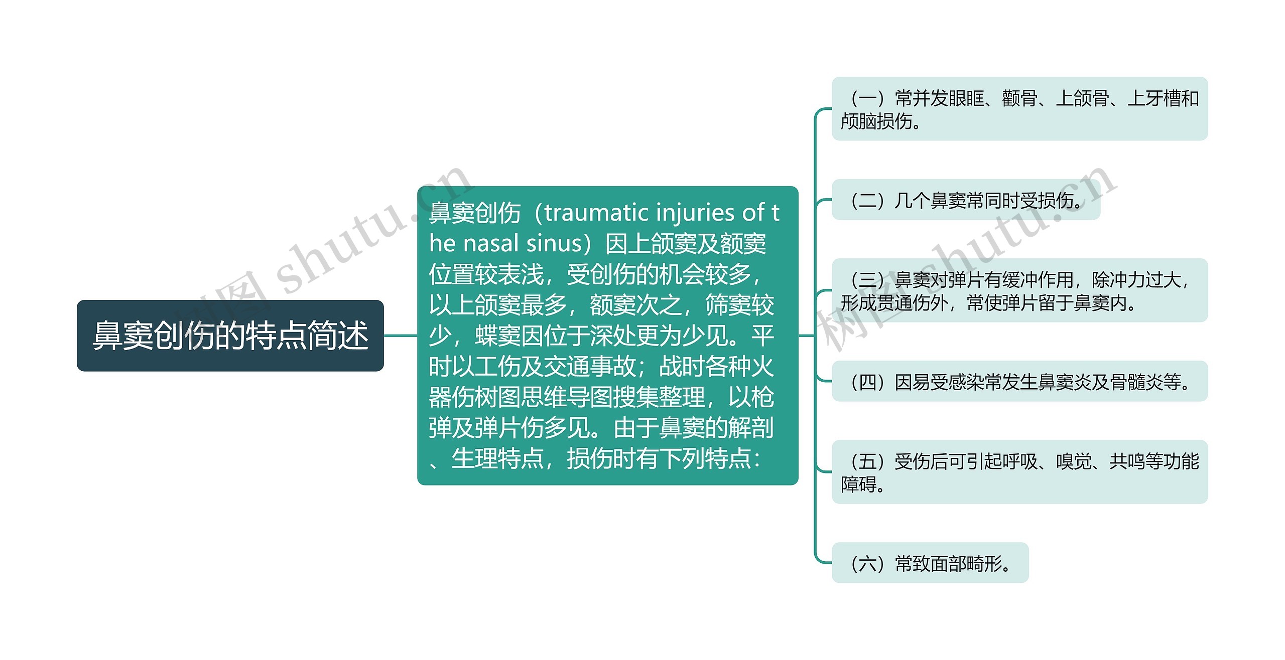 鼻窦创伤的特点简述思维导图