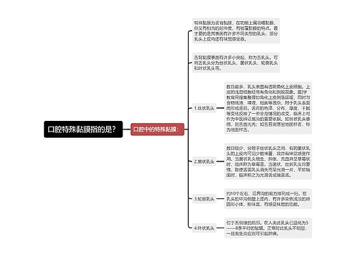 口腔特殊黏膜指的是？