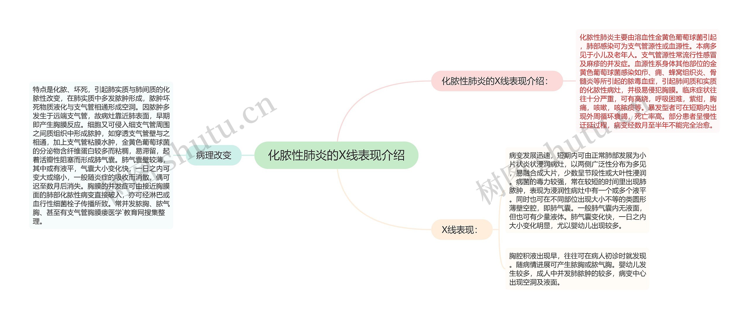 化脓性肺炎的X线表现介绍