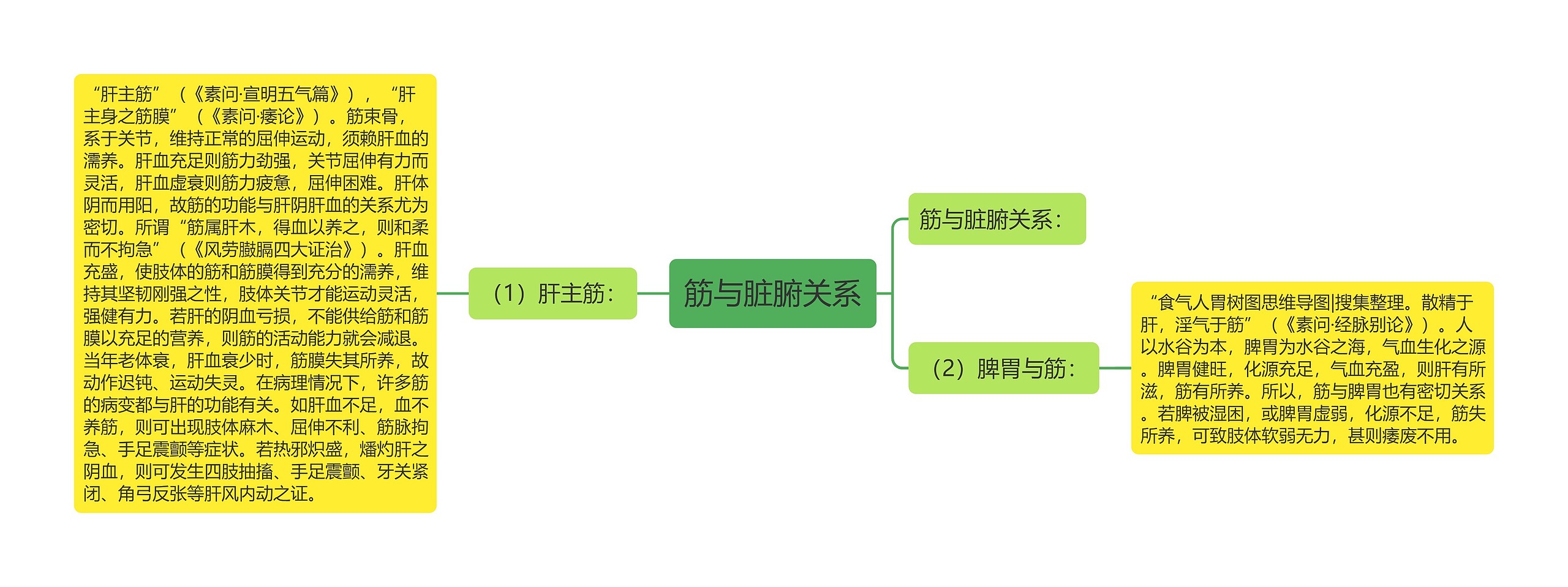 筋与脏腑关系思维导图