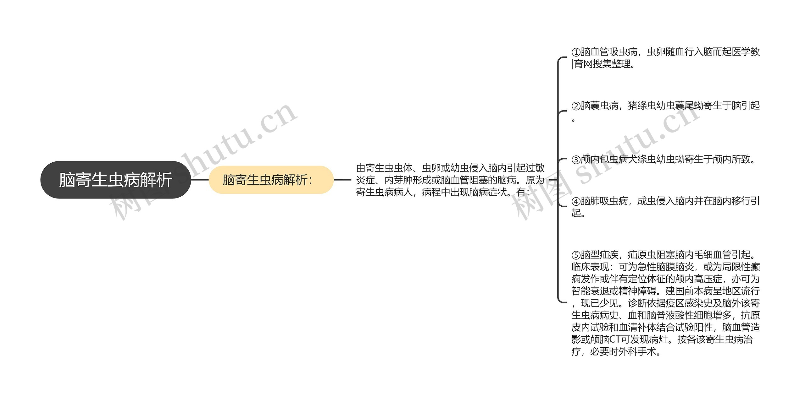 脑寄生虫病解析 脑寄生虫病解析