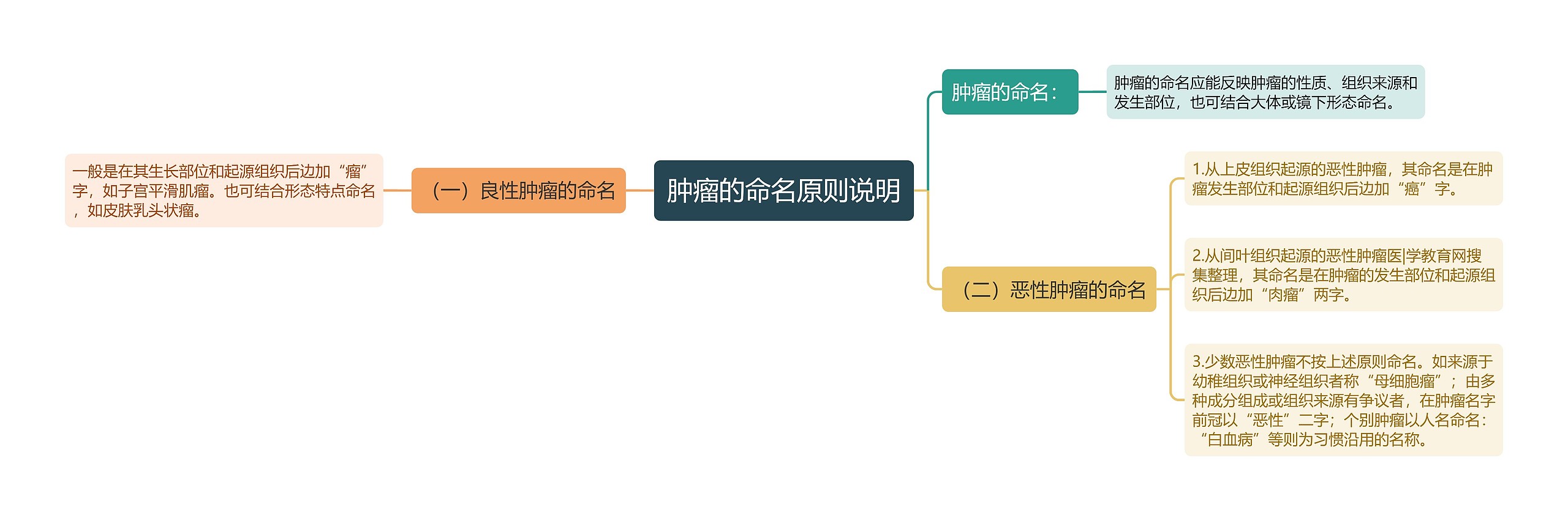 肿瘤的命名原则说明