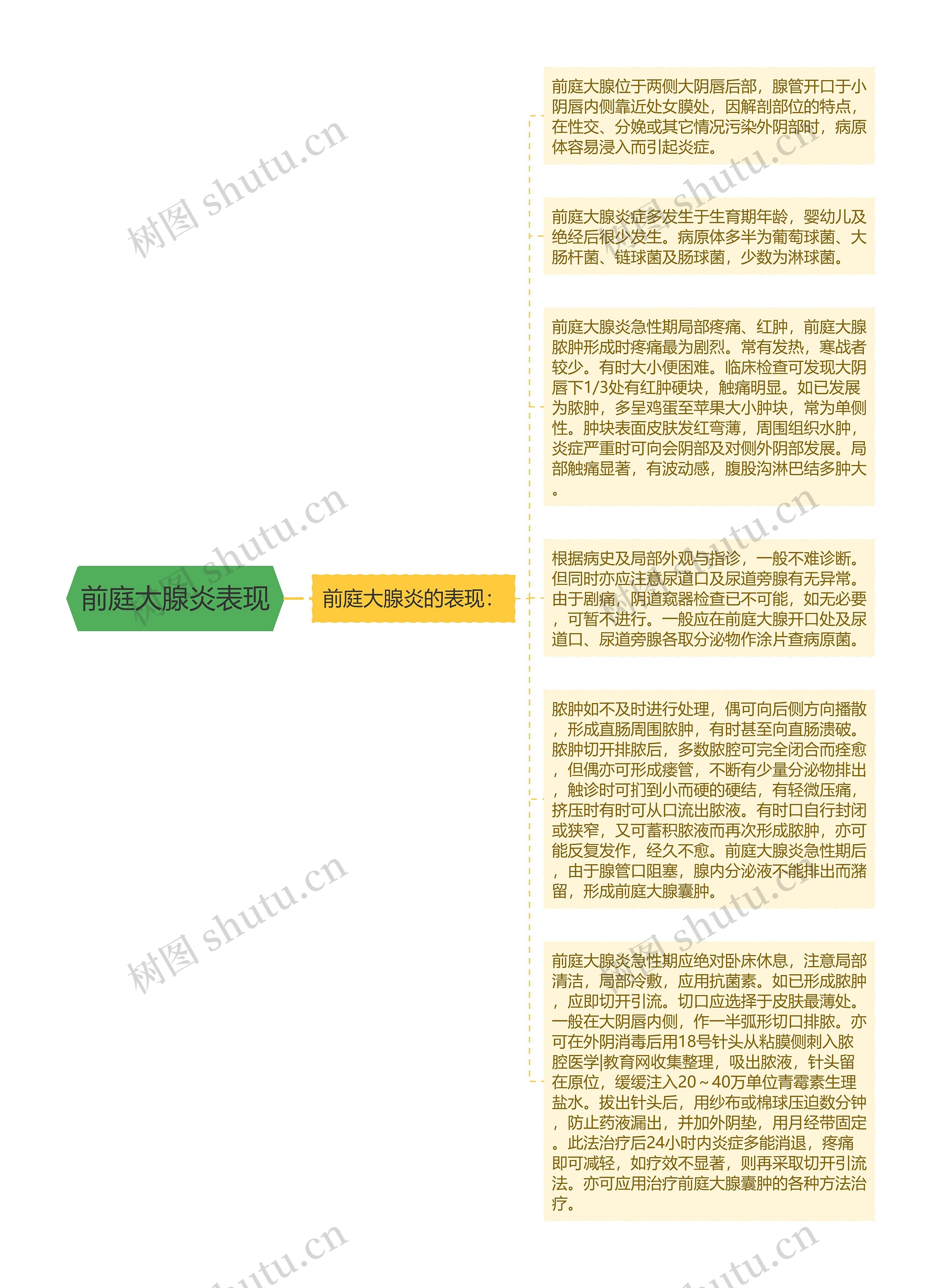 前庭大腺炎表现思维导图