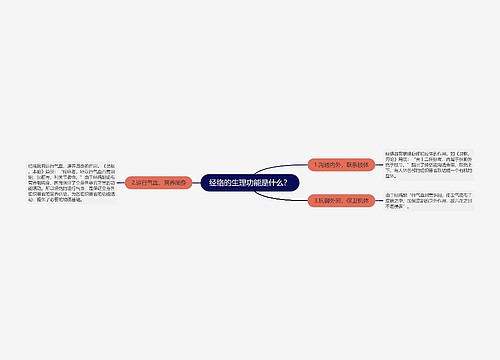 经络的生理功能是什么？