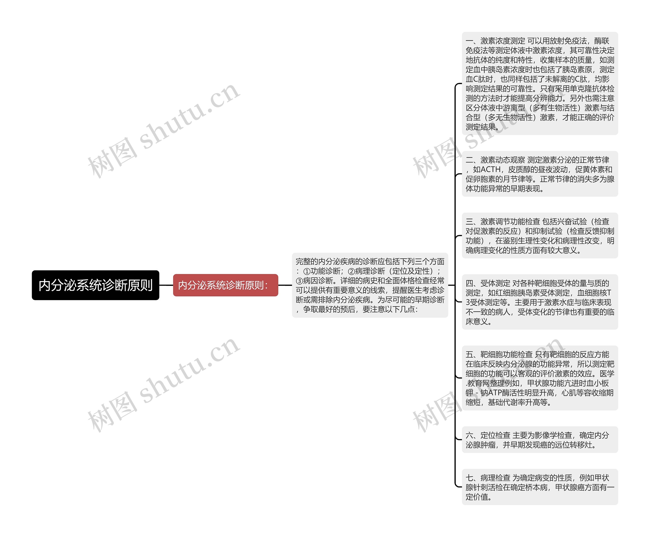 内分泌系统诊断原则思维导图