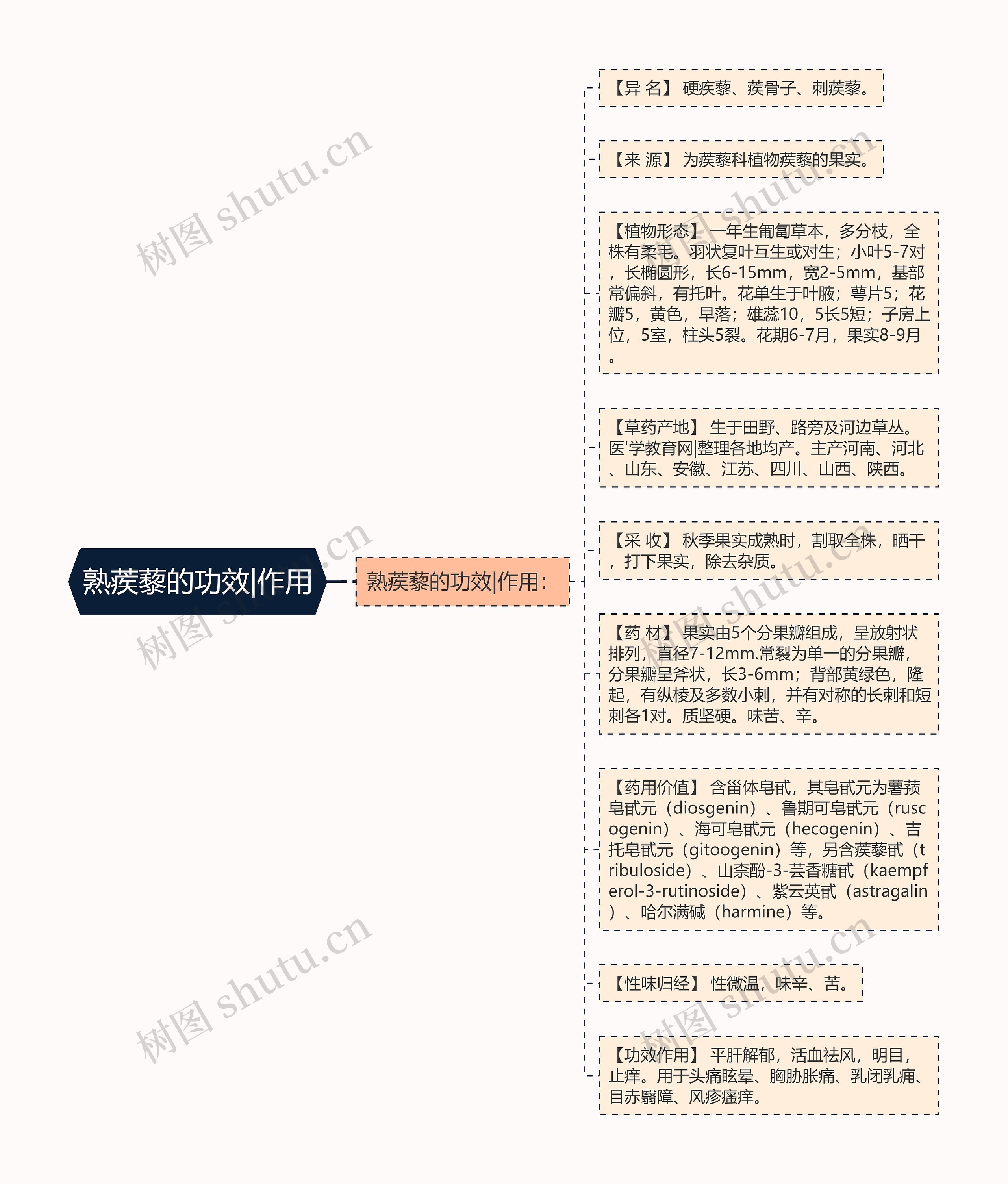 熟蒺藜的功效|作用思维导图