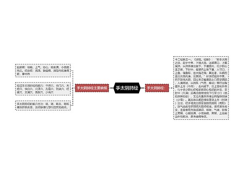 手太阴肺经