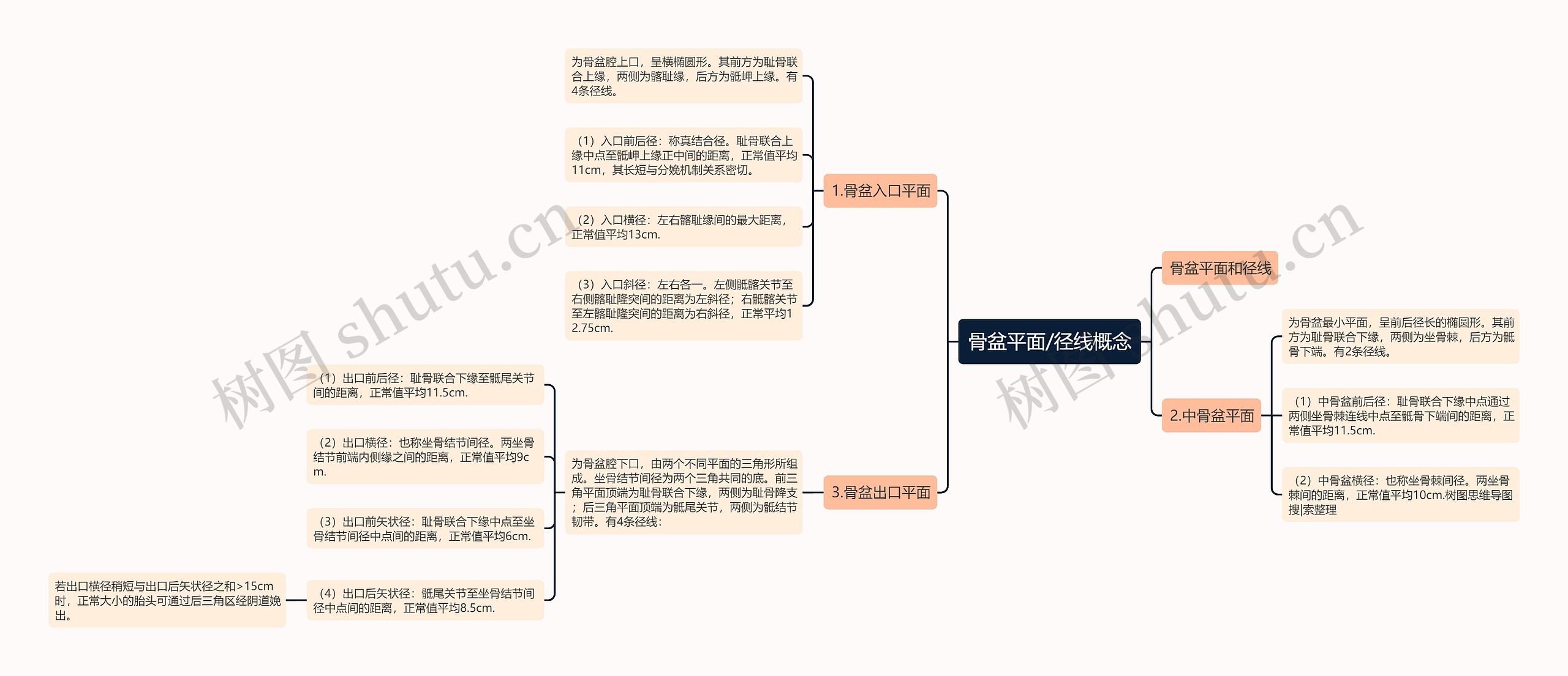 骨盆平面/径线概念思维导图