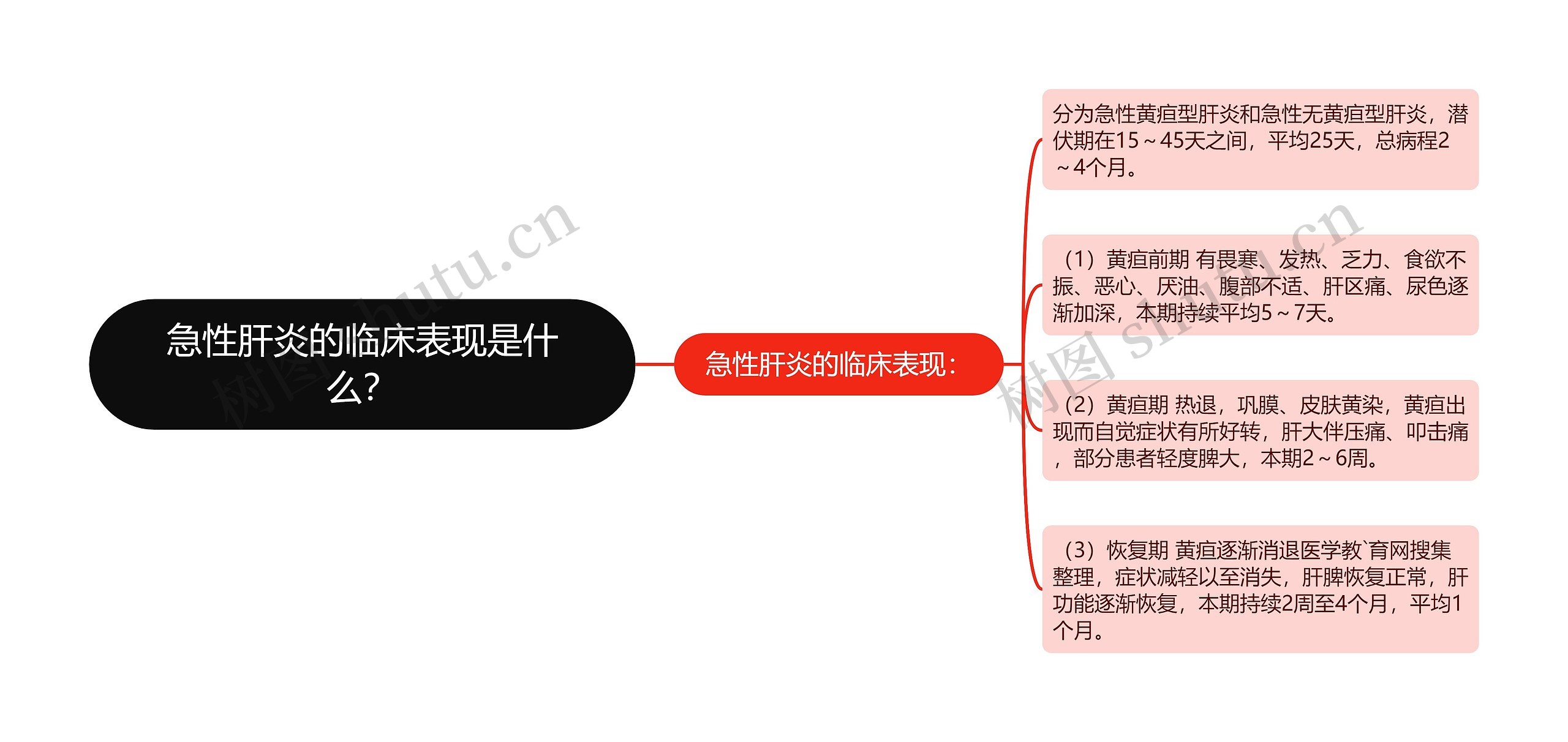 急性肝炎的临床表现是什么？思维导图