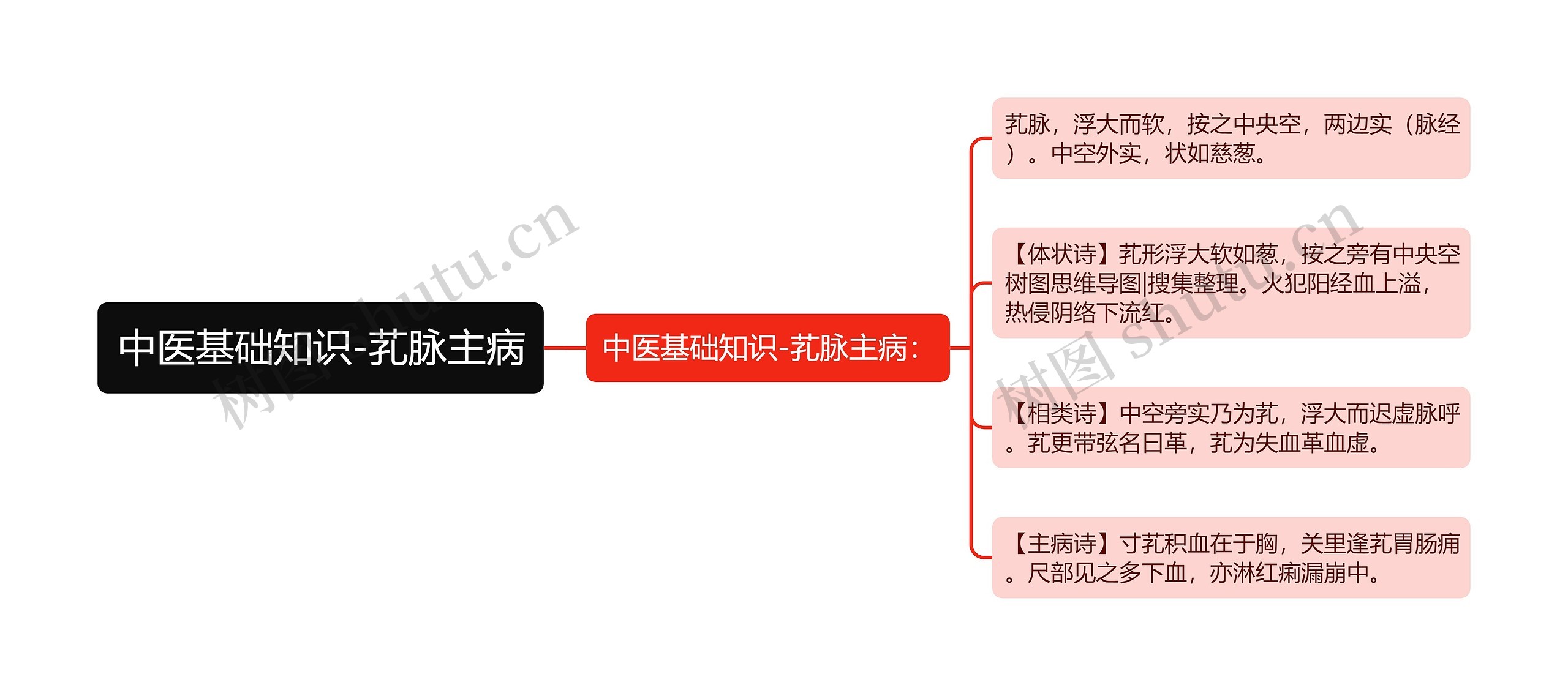 中医基础知识-芤脉主病