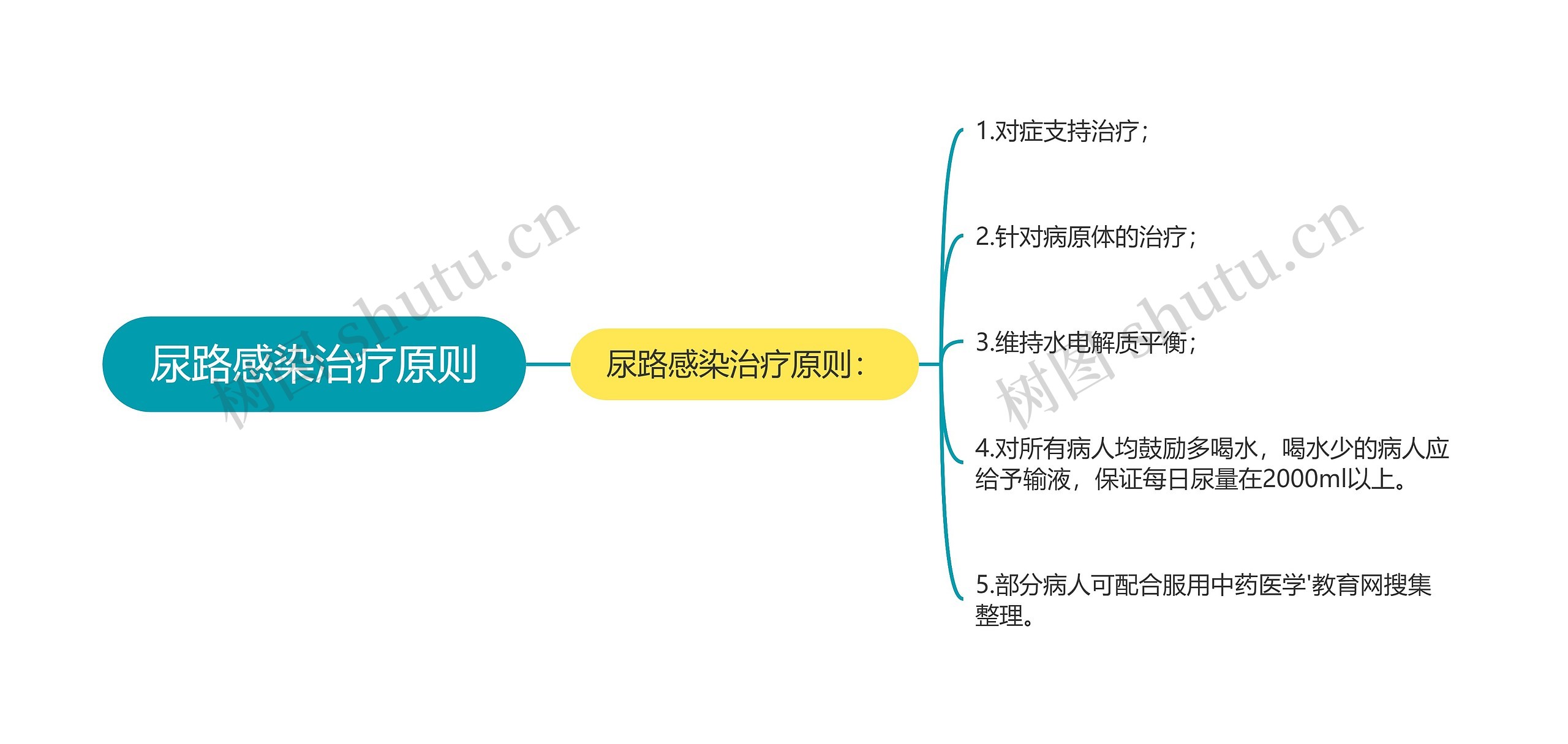 尿路感染治疗原则思维导图