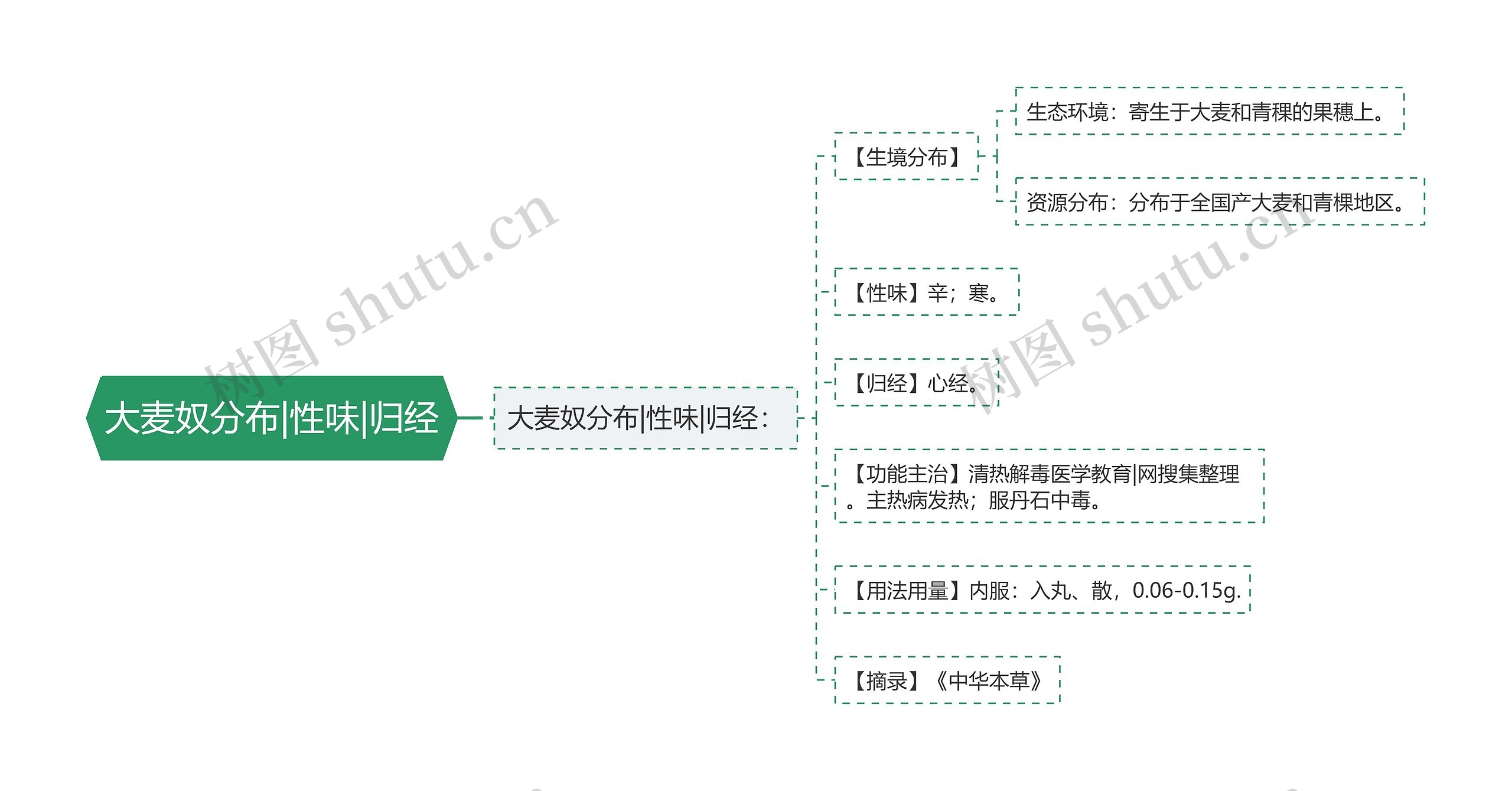 大麦奴分布|性味|归经