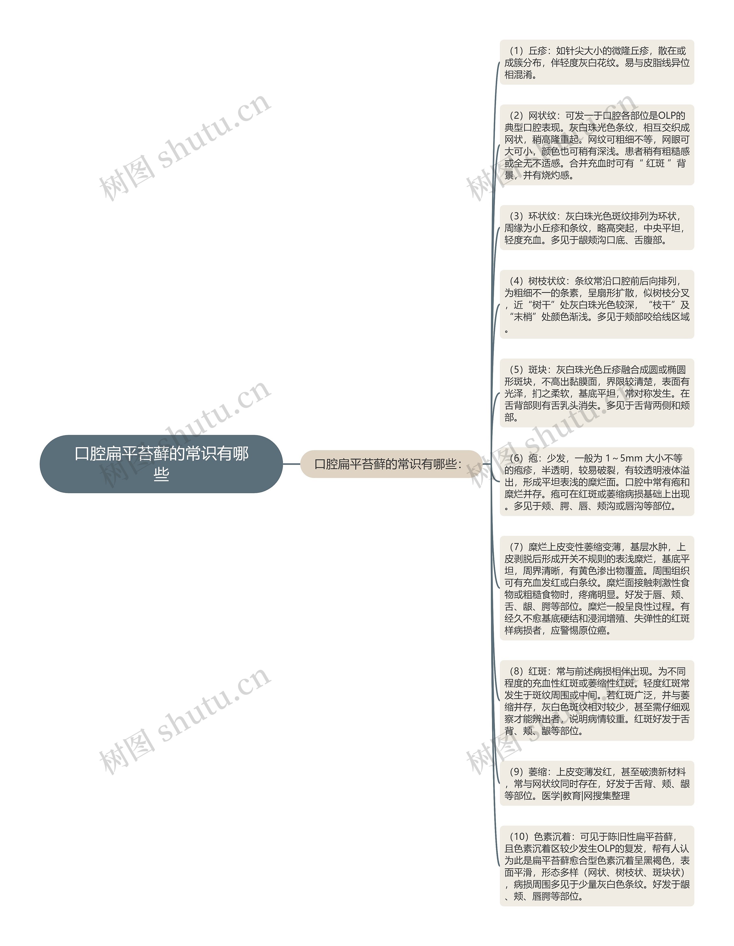 口腔扁平苔藓的常识有哪些思维导图