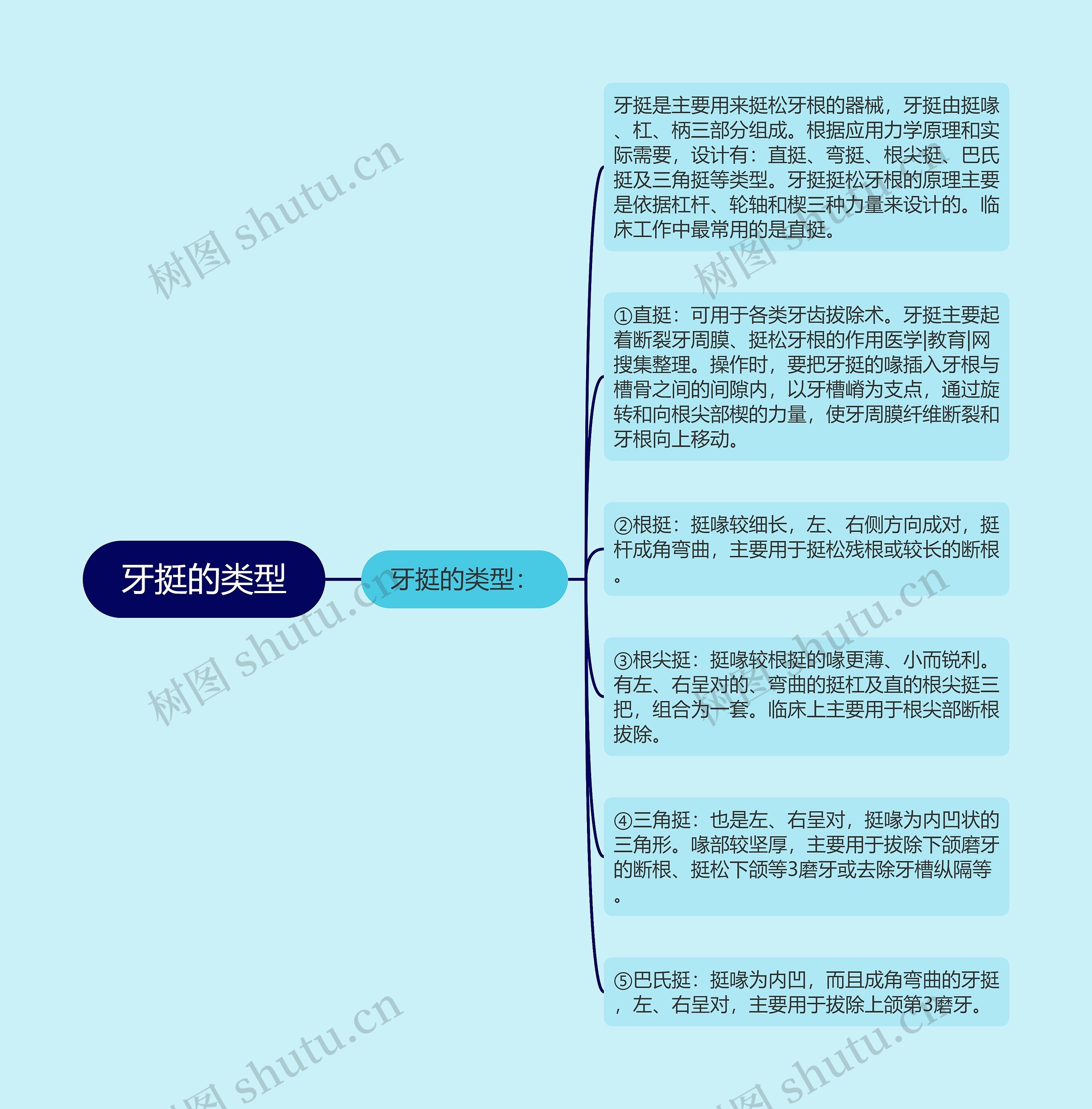 牙挺的类型思维导图