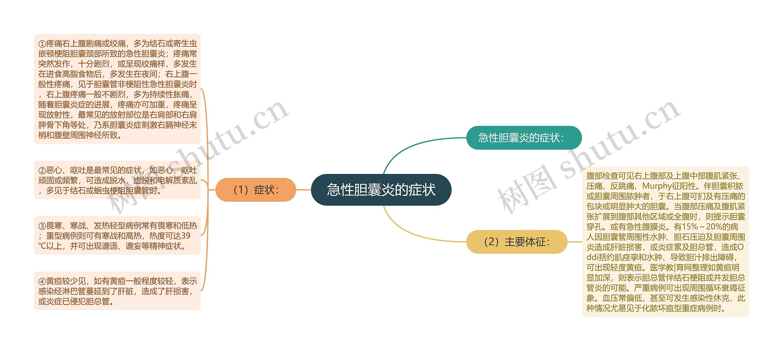 急性胆囊炎的症状思维导图