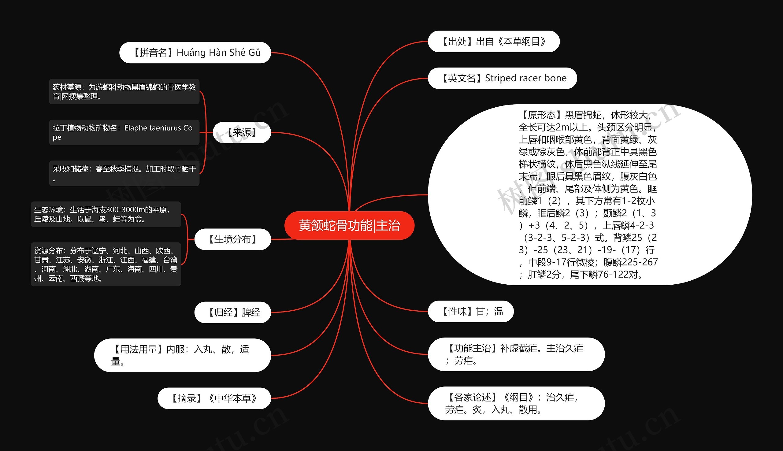 黄颔蛇骨功能|主治思维导图