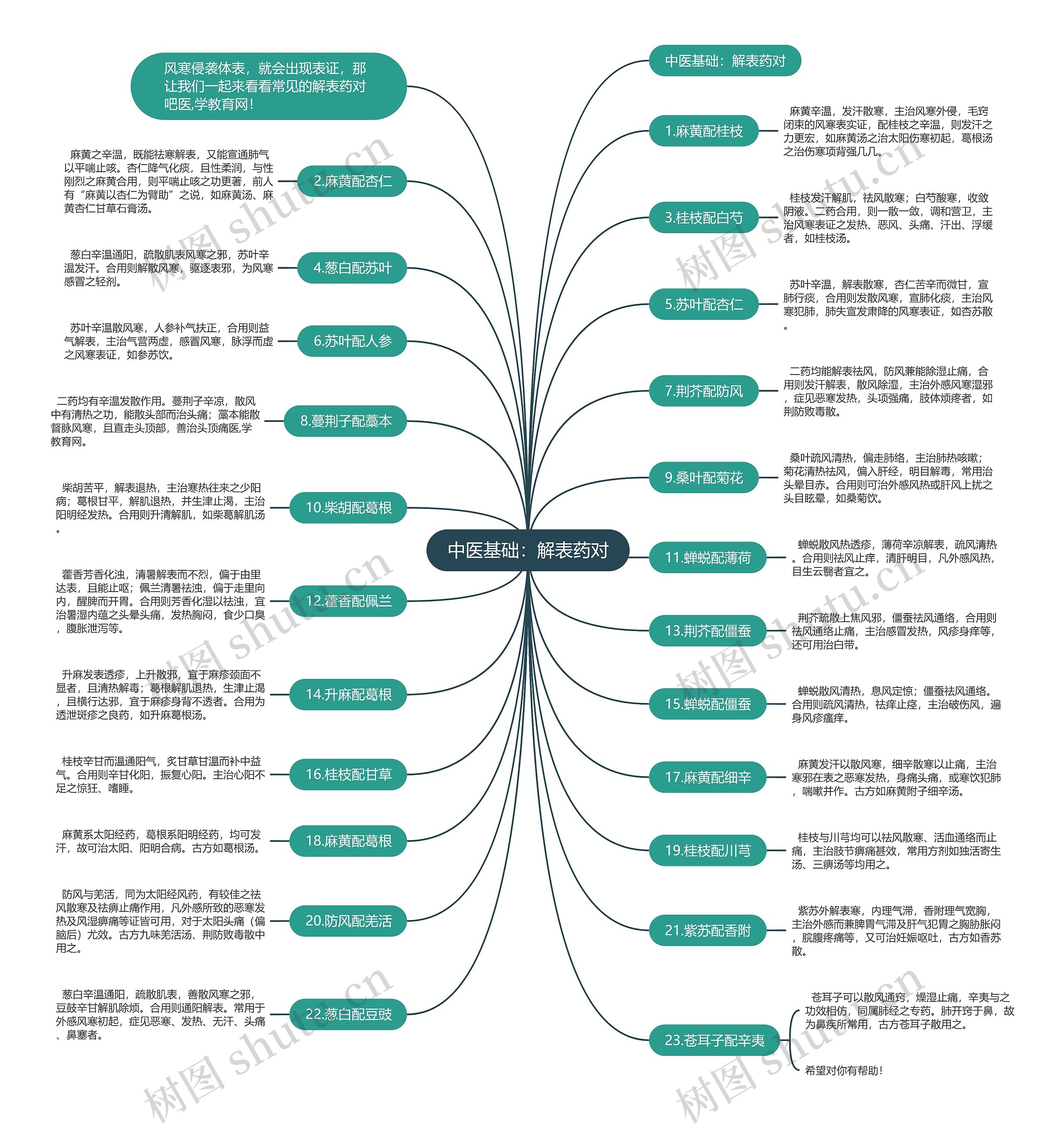 中医基础：解表药对思维导图