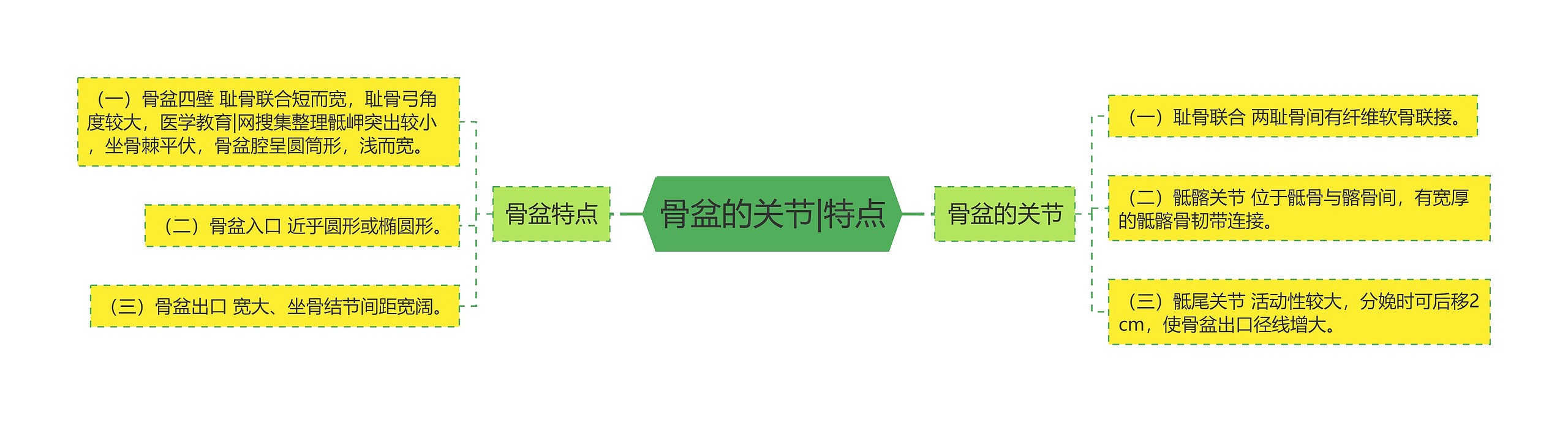 骨盆的关节|特点