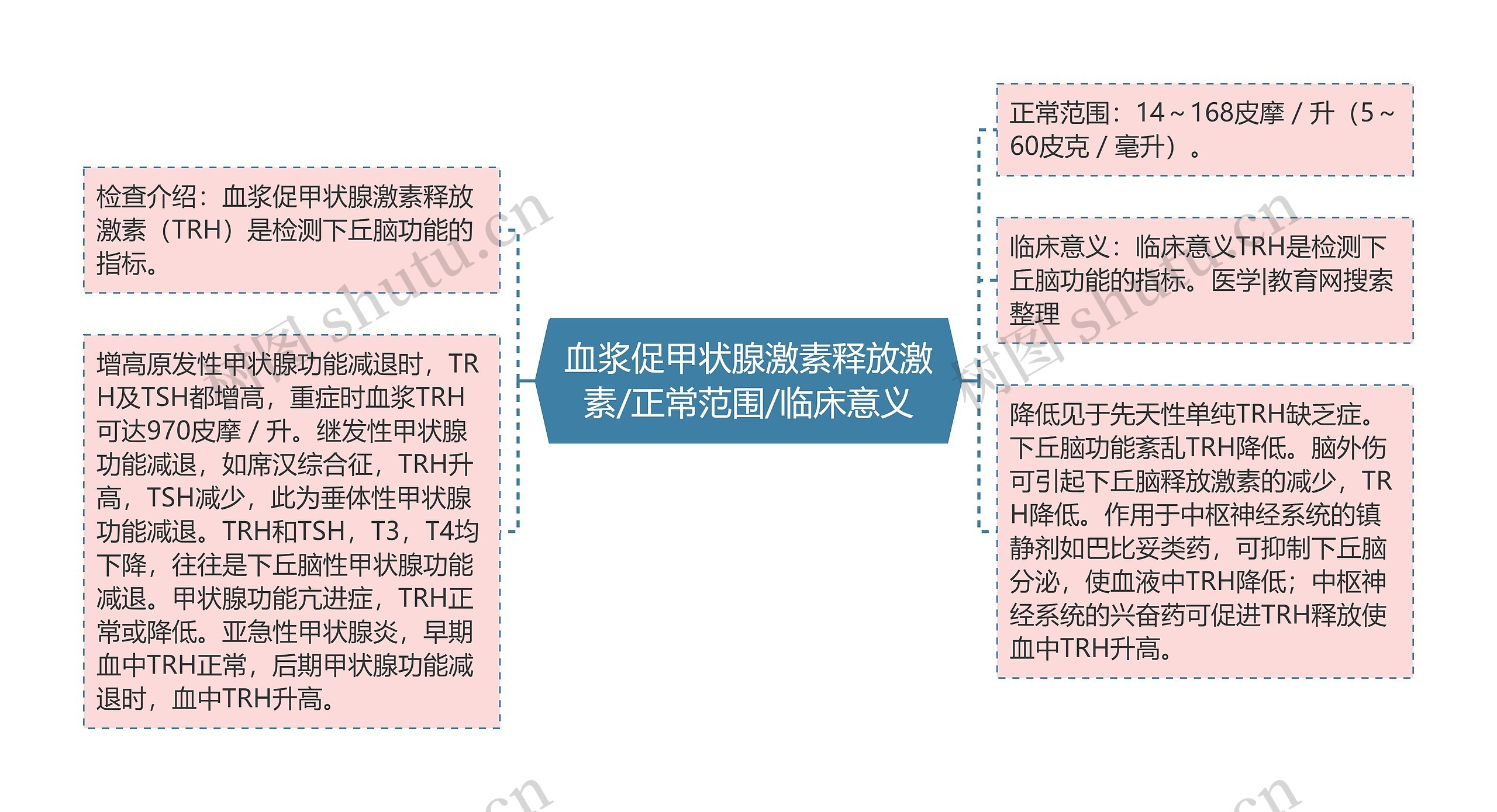 血浆促甲状腺激素释放激素/正常范围/临床意义思维导图