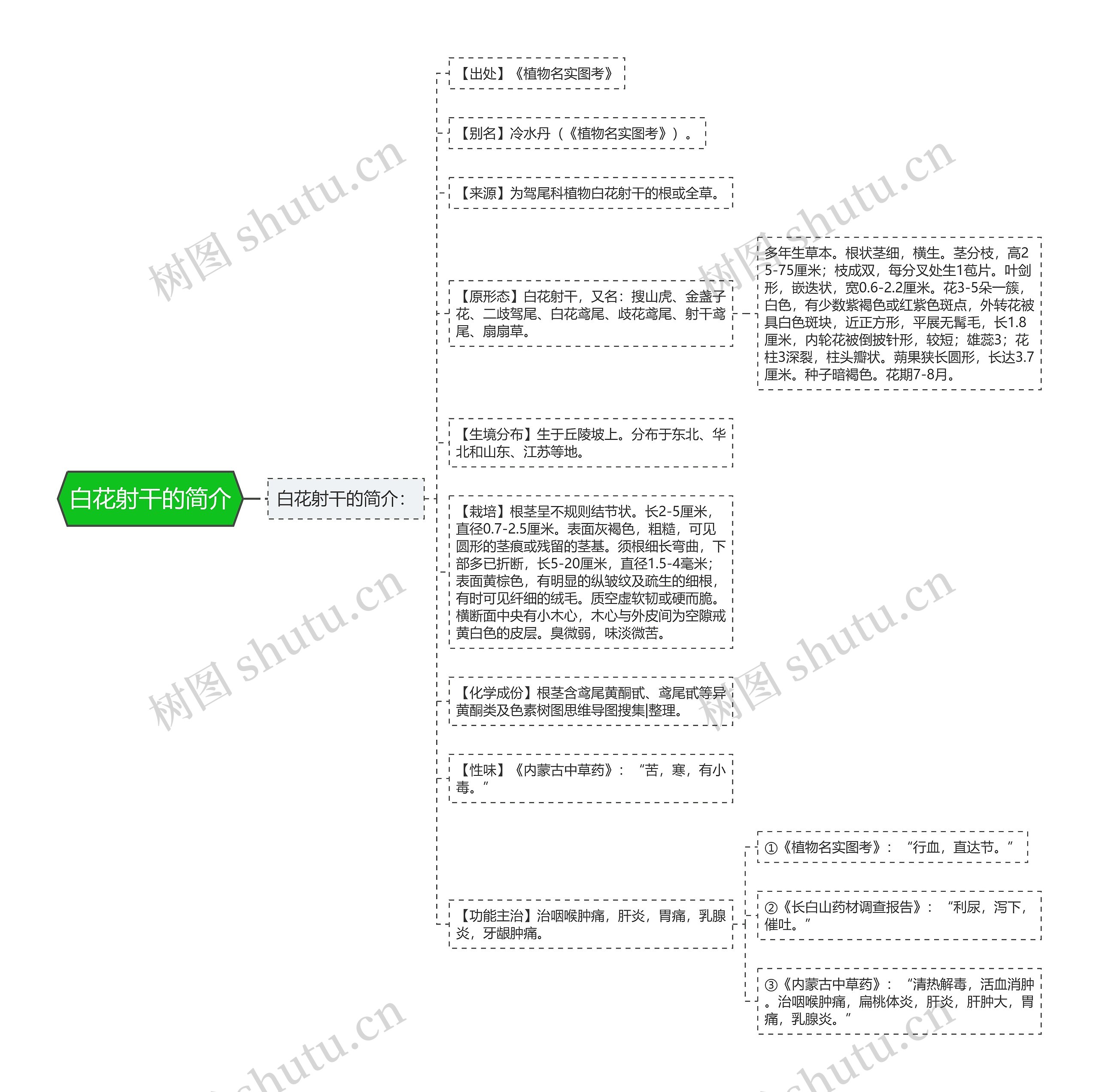 白花射干的简介 白花射干的简介