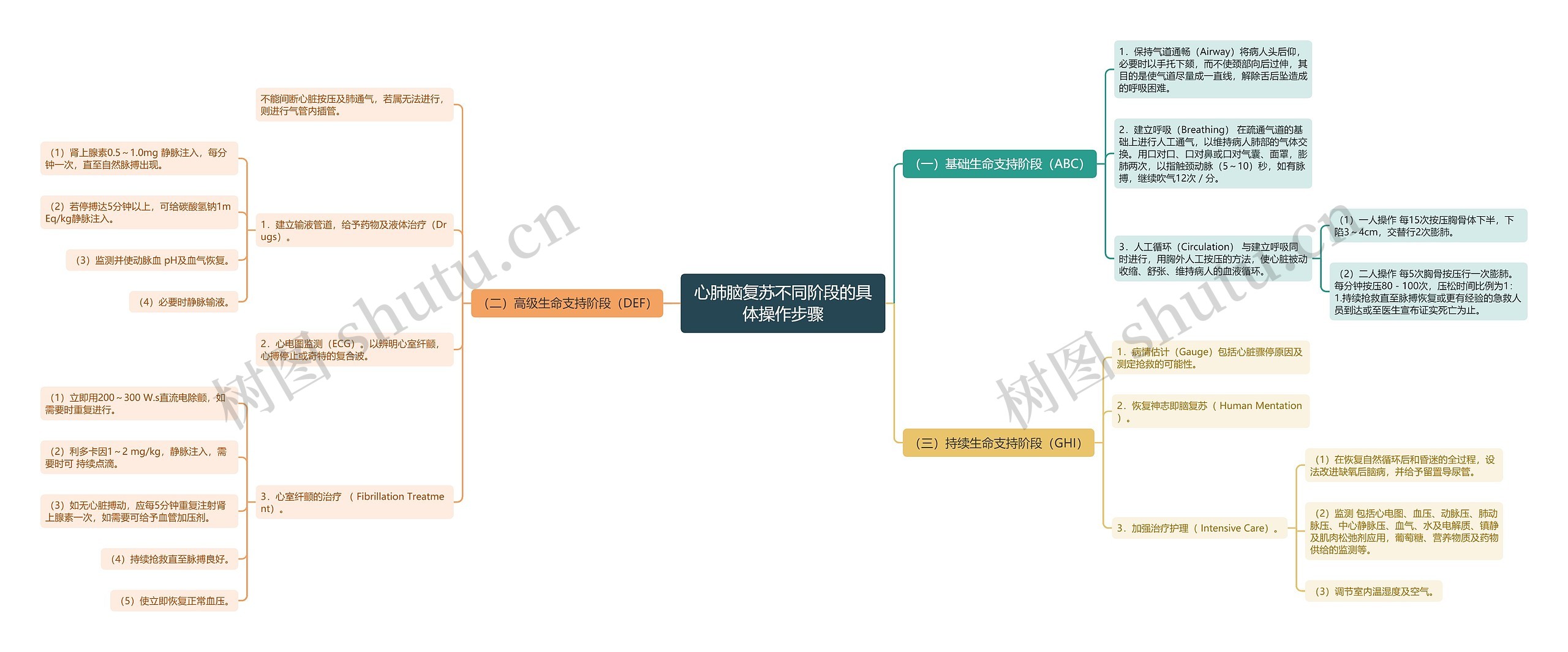 心肺脑复苏不同阶段的具体操作步骤思维导图