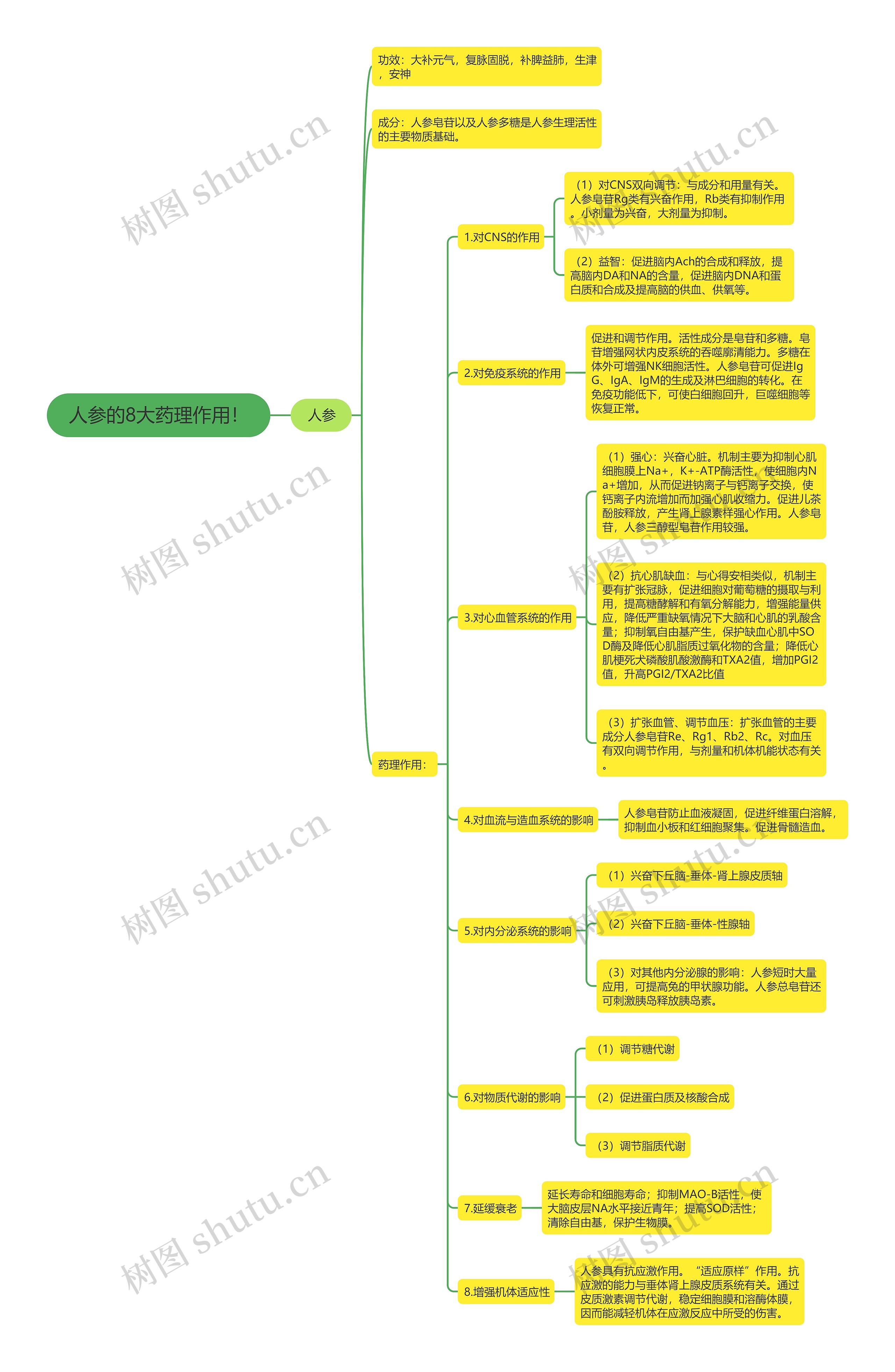 人参的8大药理作用！思维导图
