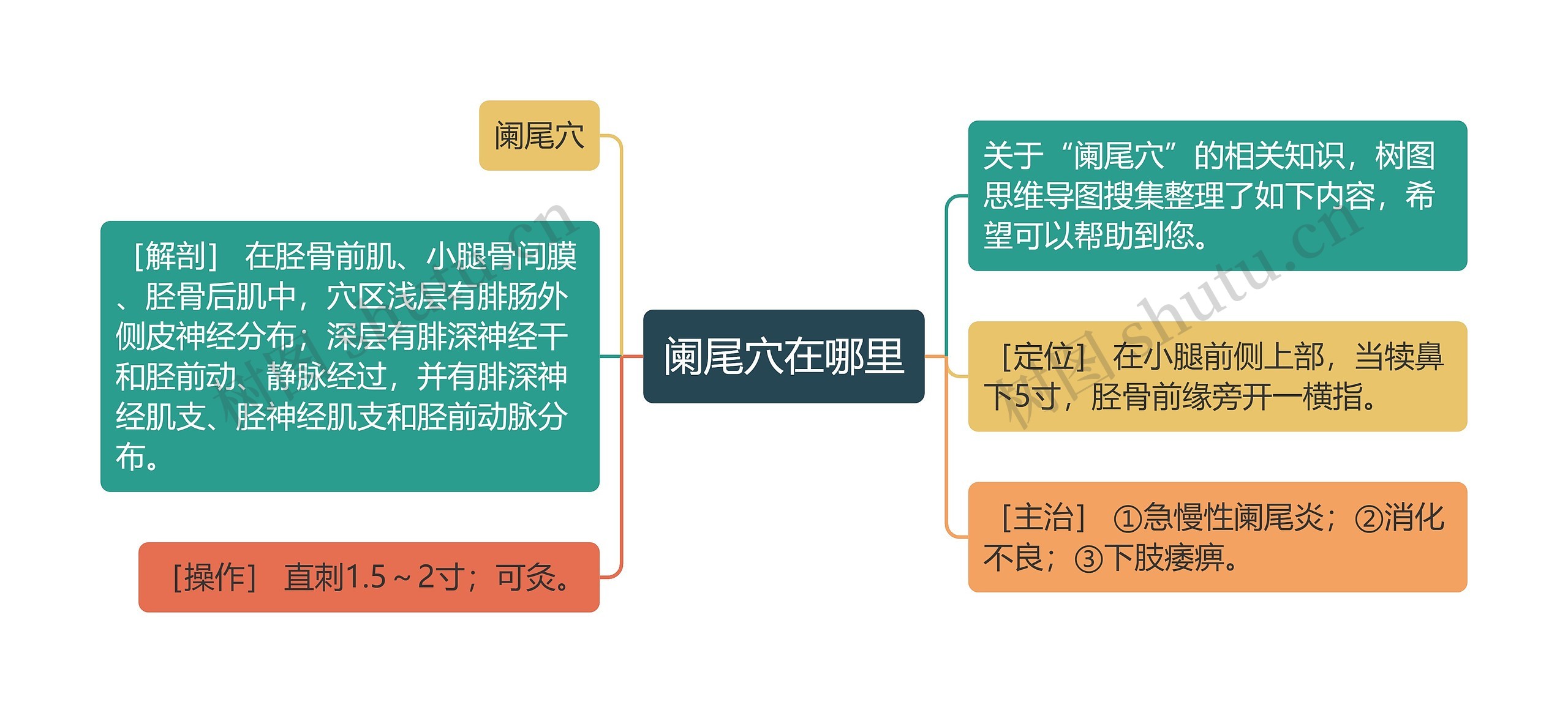 阑尾穴在哪里思维导图