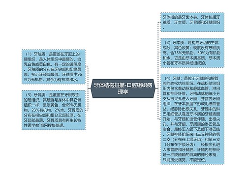 牙体结构扫描-口腔组织病理学