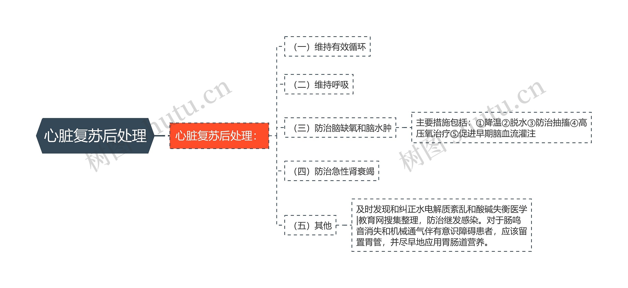 心脏复苏后处理思维导图