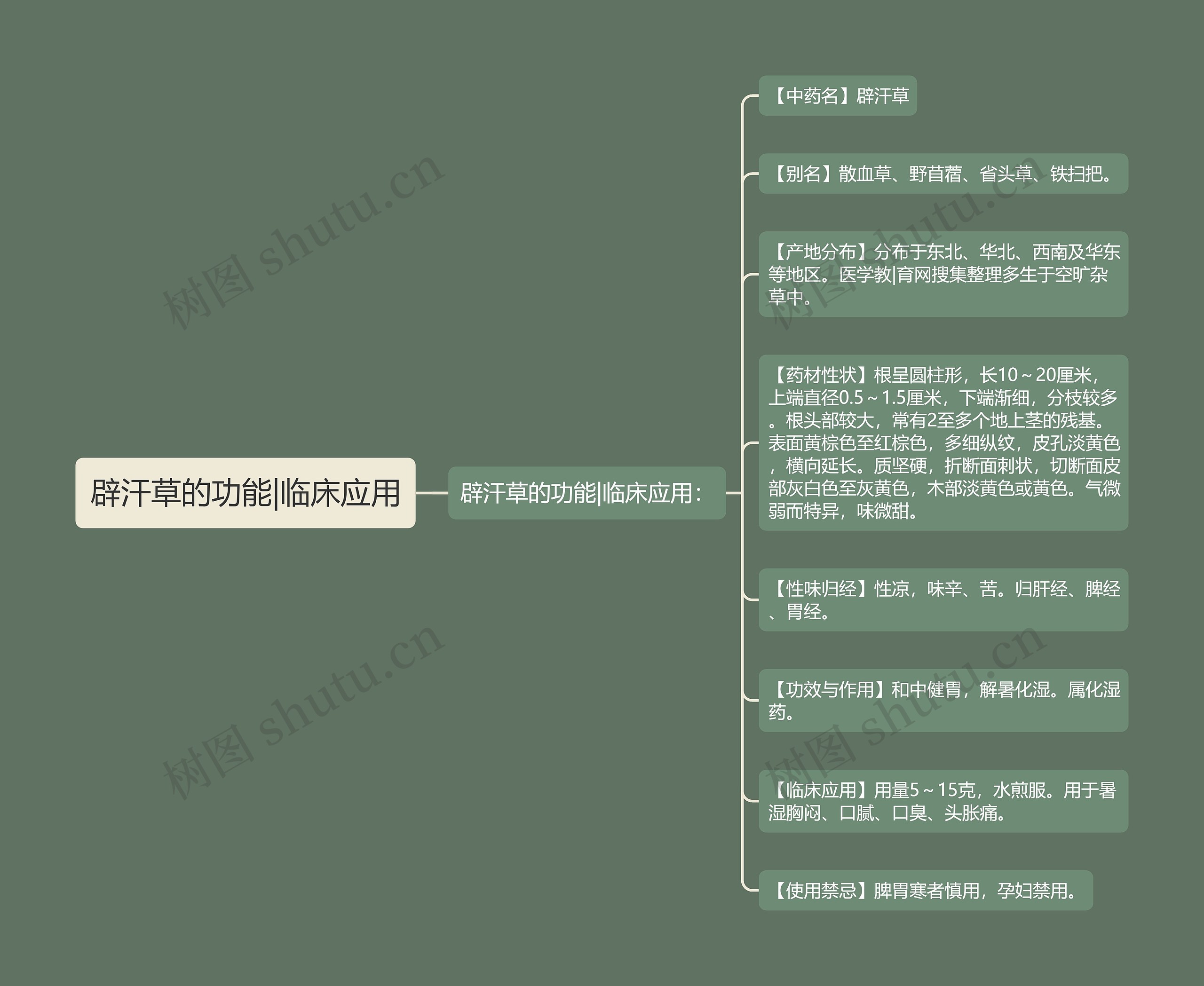辟汗草的功能|临床应用 辟汗草的功能|临床应用