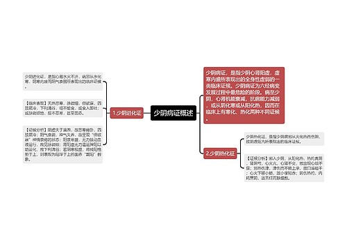 少阴病证概述