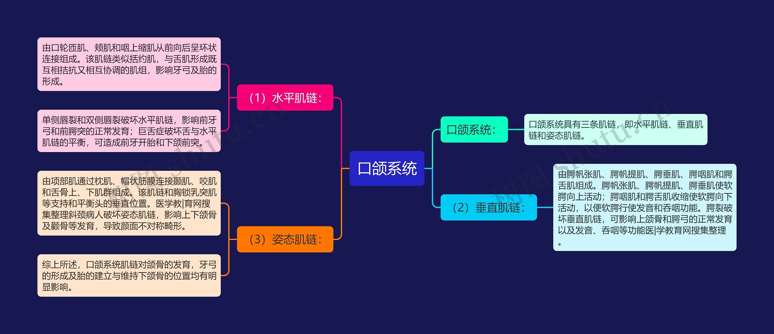 口颌系统思维导图