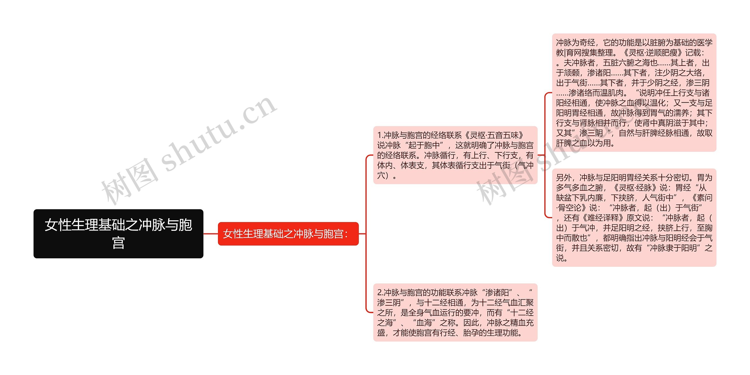 女性生理基础之冲脉与胞宫思维导图