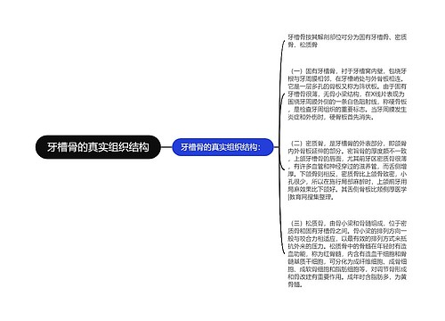 牙槽骨的真实组织结构