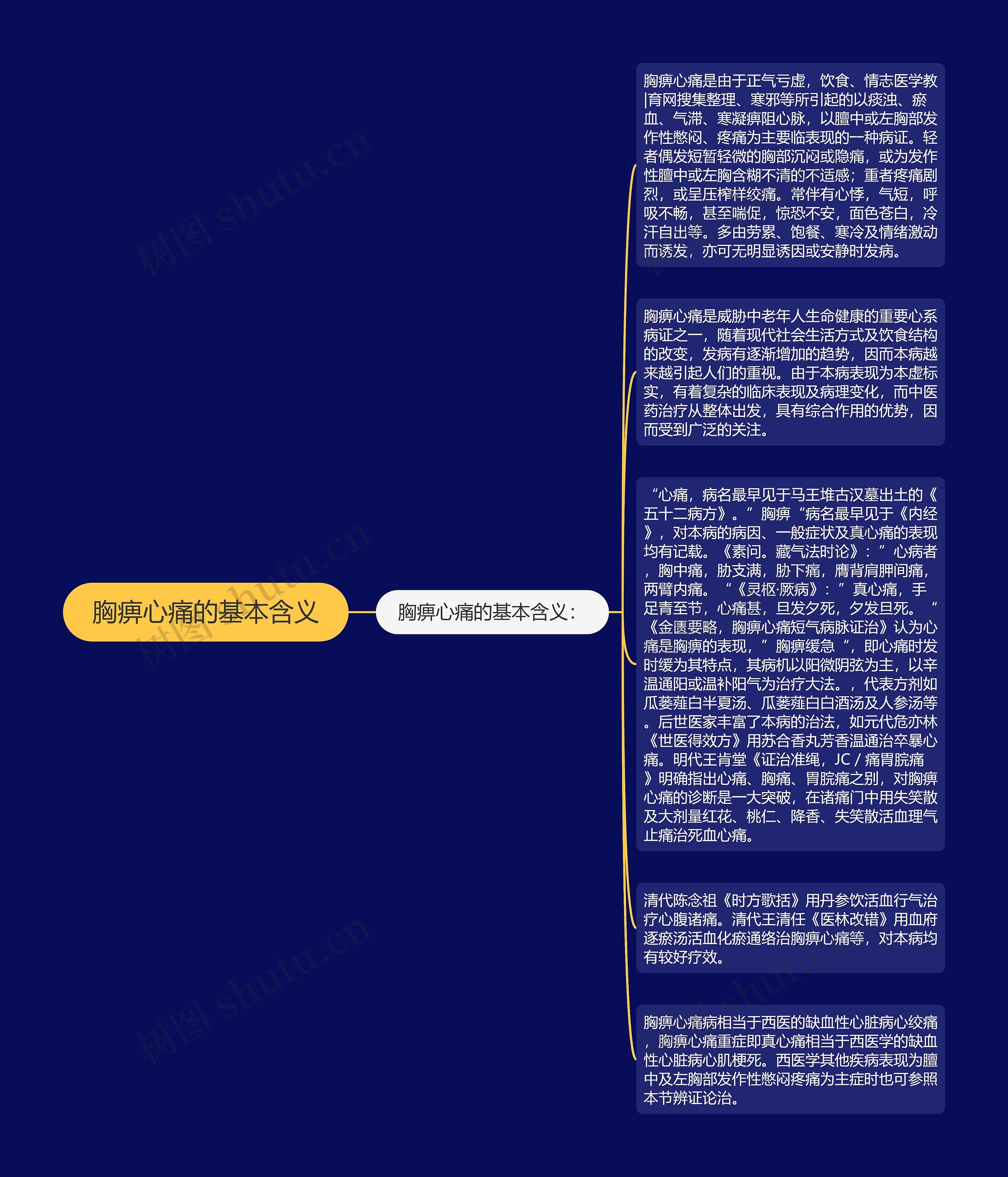 胸痹心痛的基本含义思维导图